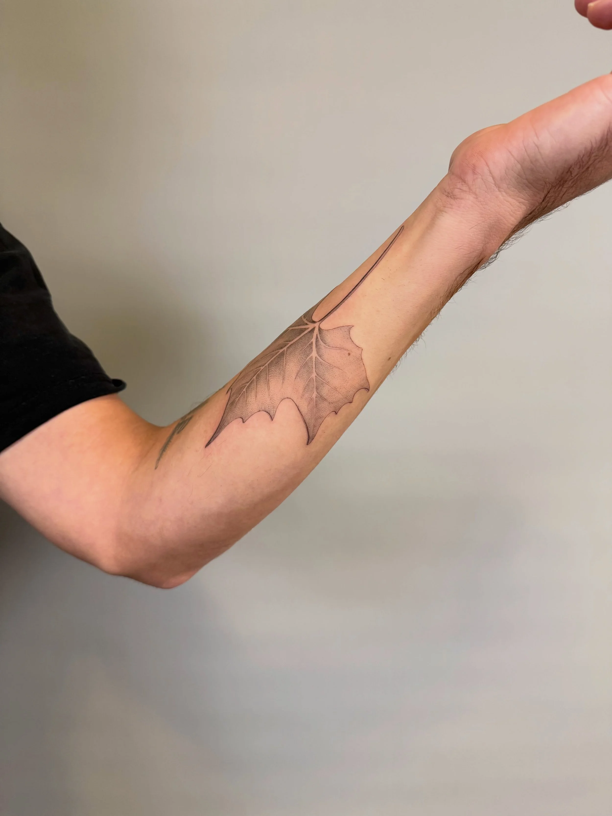 His best childhood memories took place on Sycamore Lane. Fresh leaf next to his healed coast redwood branch from 2 and a half years ago. 
Thank you, Dylan! 

Books open November 1-3! To request an appointment, complete the form on my website during t