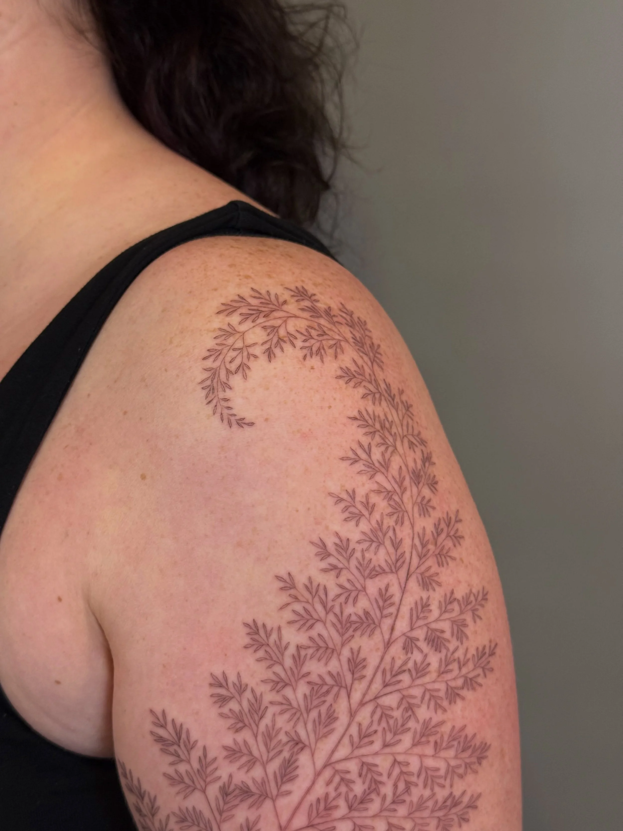 Fresh single needle fern

Lavender cat healed 1 year 
Lily with handwriting healed 2 years 10 months 
Hummingbird healed 1 month

Thank you, Katie! 

&mdash;&mdash;&mdash;

Books open in 3 weeks. If you&rsquo;d like to get a tattoo, please fill out a