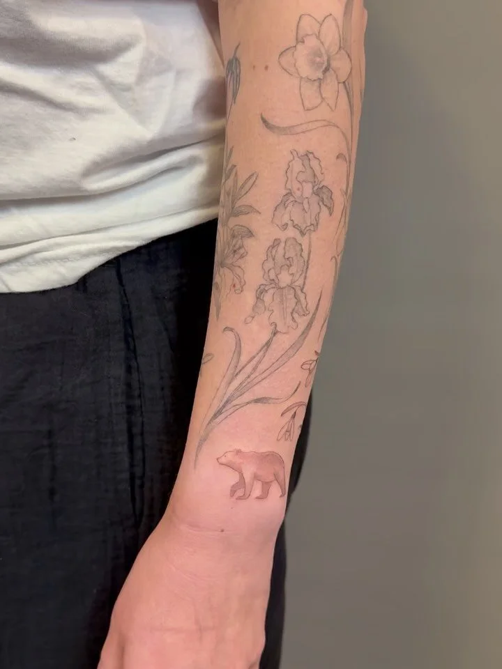 Fresh bear, snowdrops, and cardinal. 
Healed myrtle, lilies, iris, daffodils, and gladiolus. 
(I didn&rsquo;t do the peach.) 
Thank you, Elana! 

Books open Nov 1-3! Fill out a form on my website during that time to request an appointment. Please ask