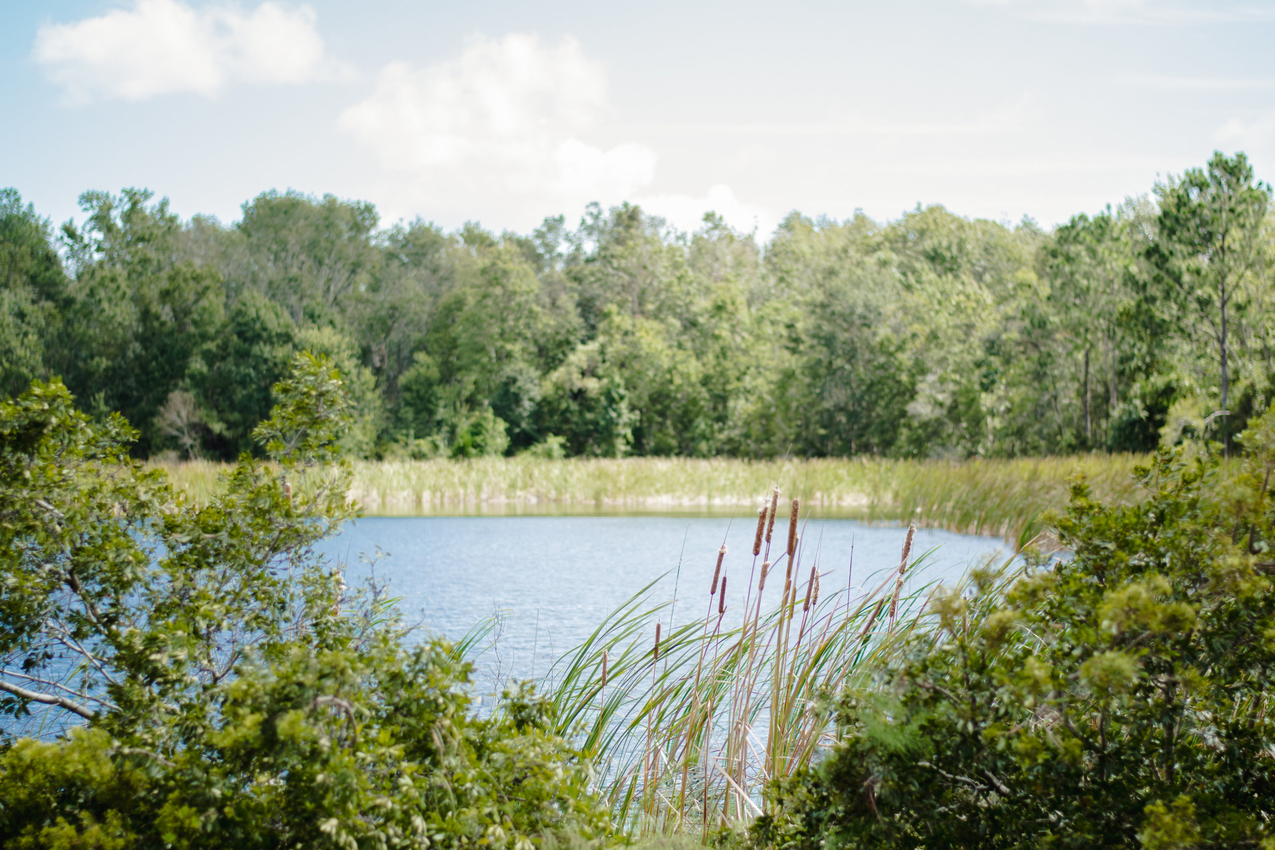 DSC_0525.jpg