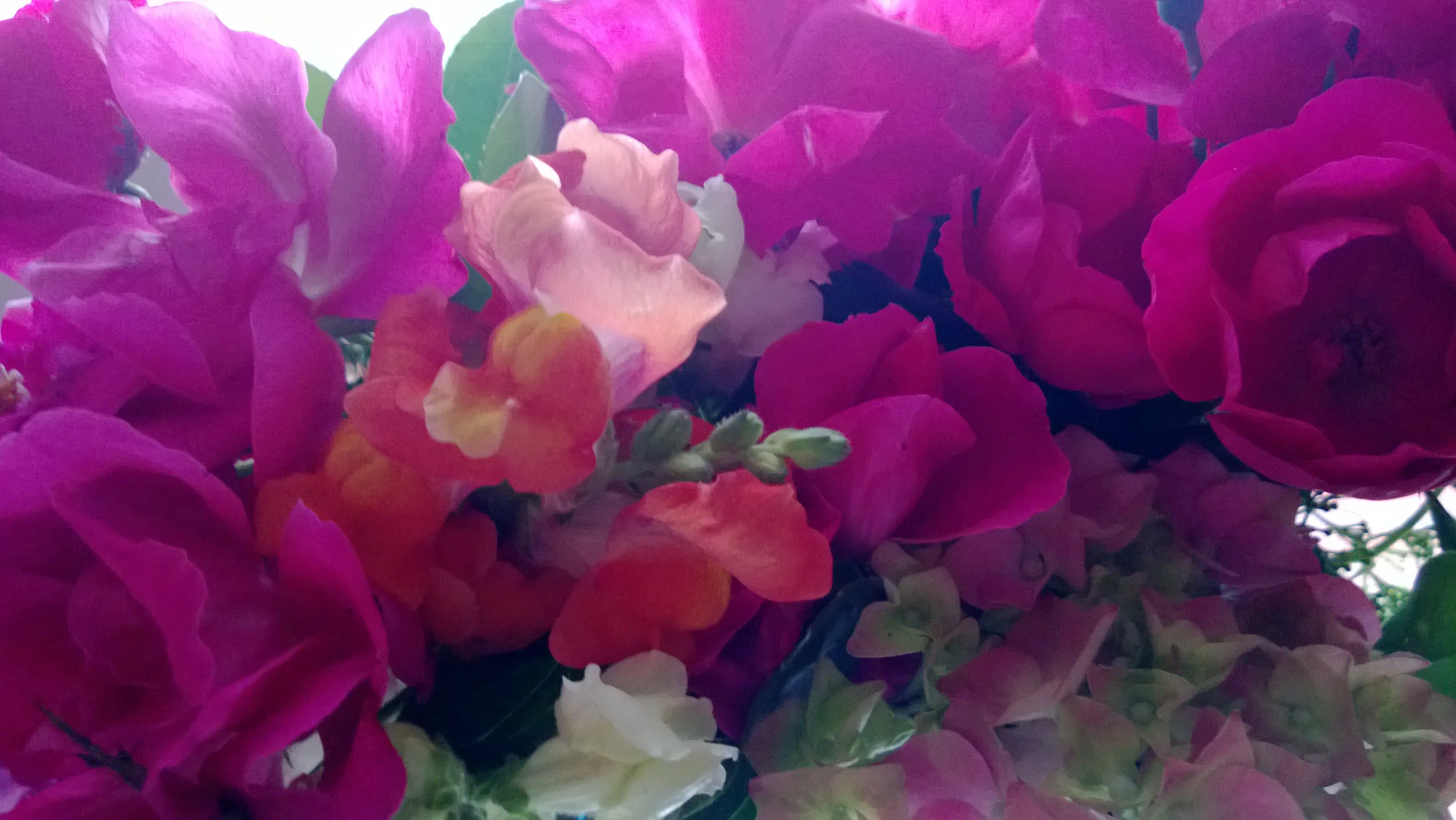 WP_20130519_003.jpg