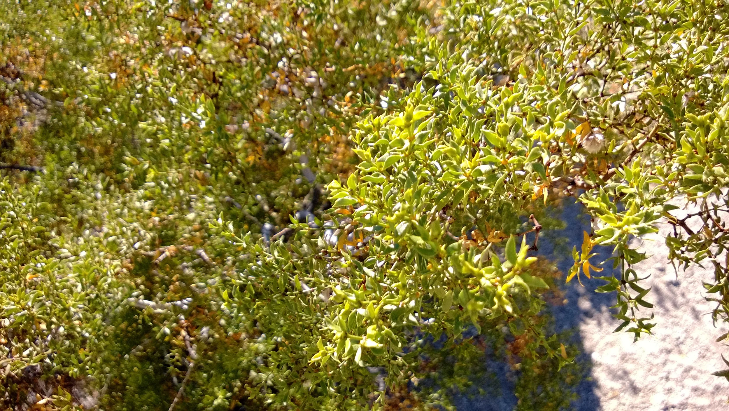 WP_20140111_002.jpg