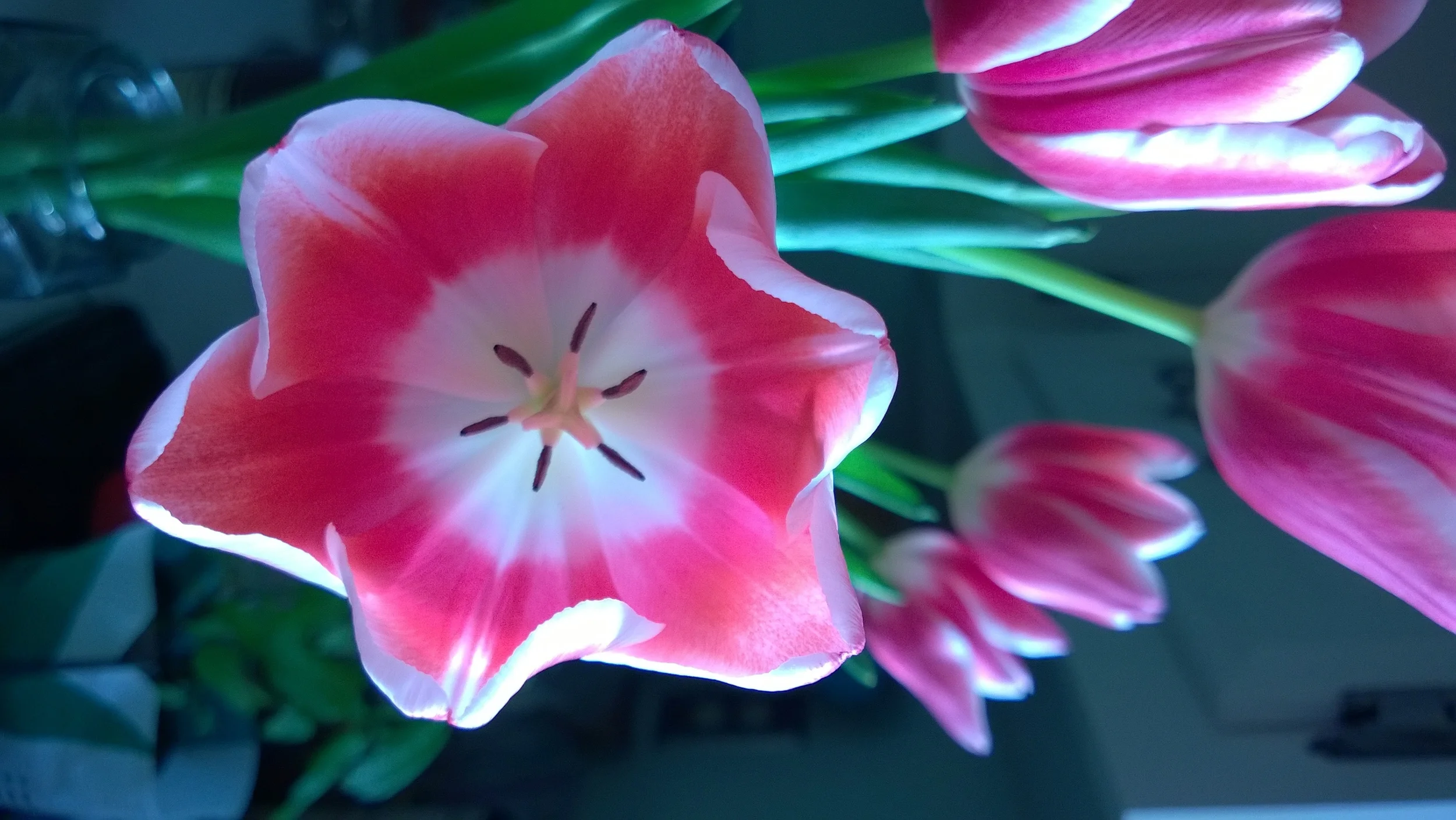 WP_20140224_003.jpg