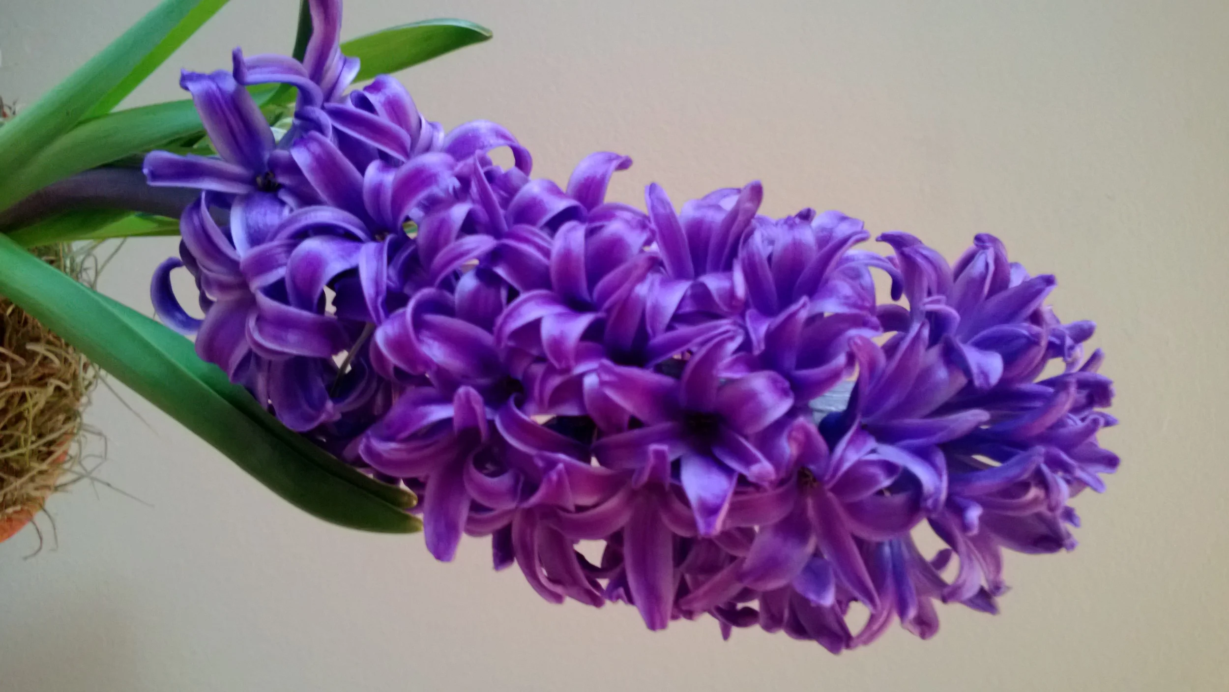 WP_20130311_002.jpg