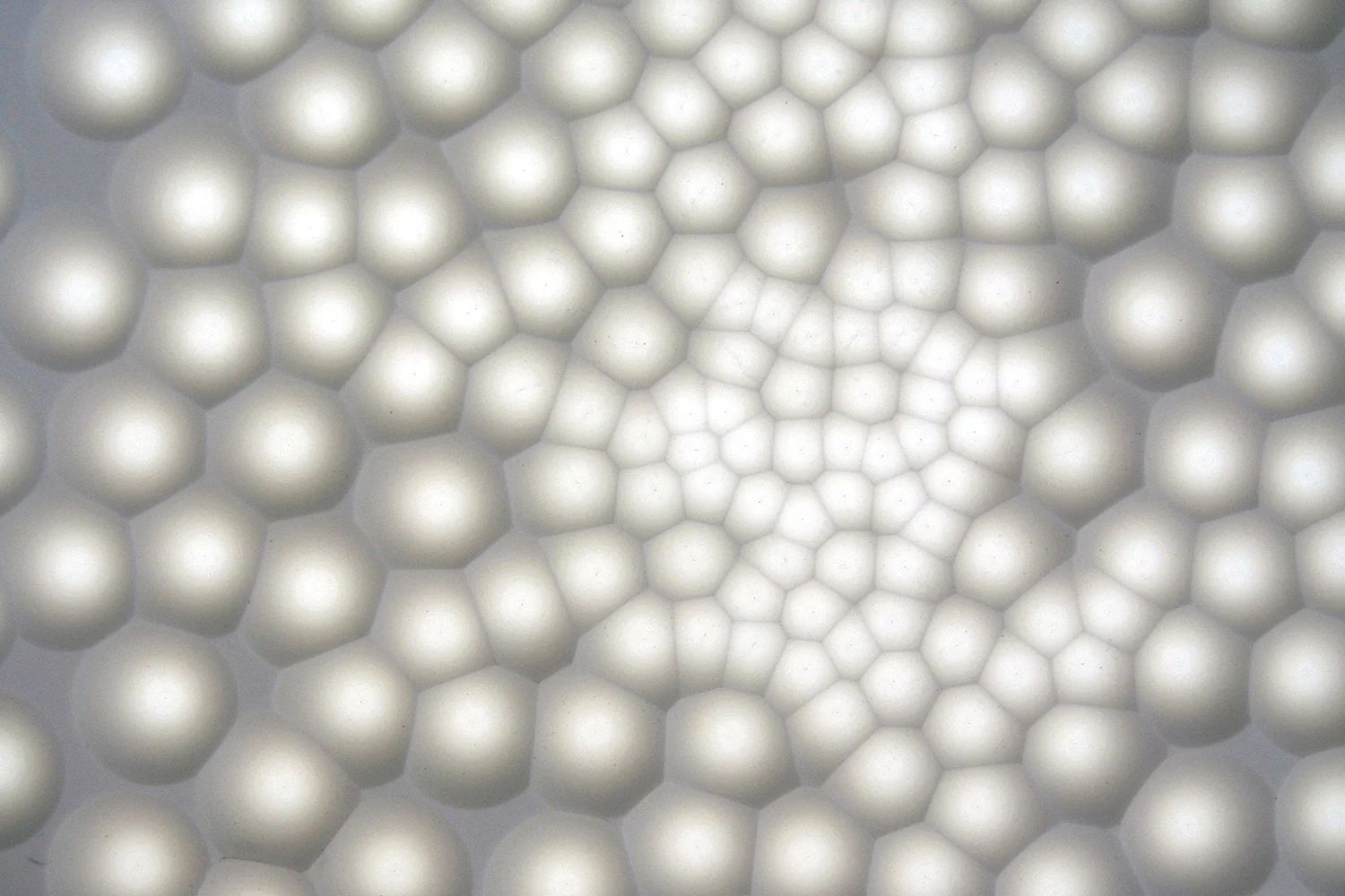 soarch_web_11-optimized.jpg