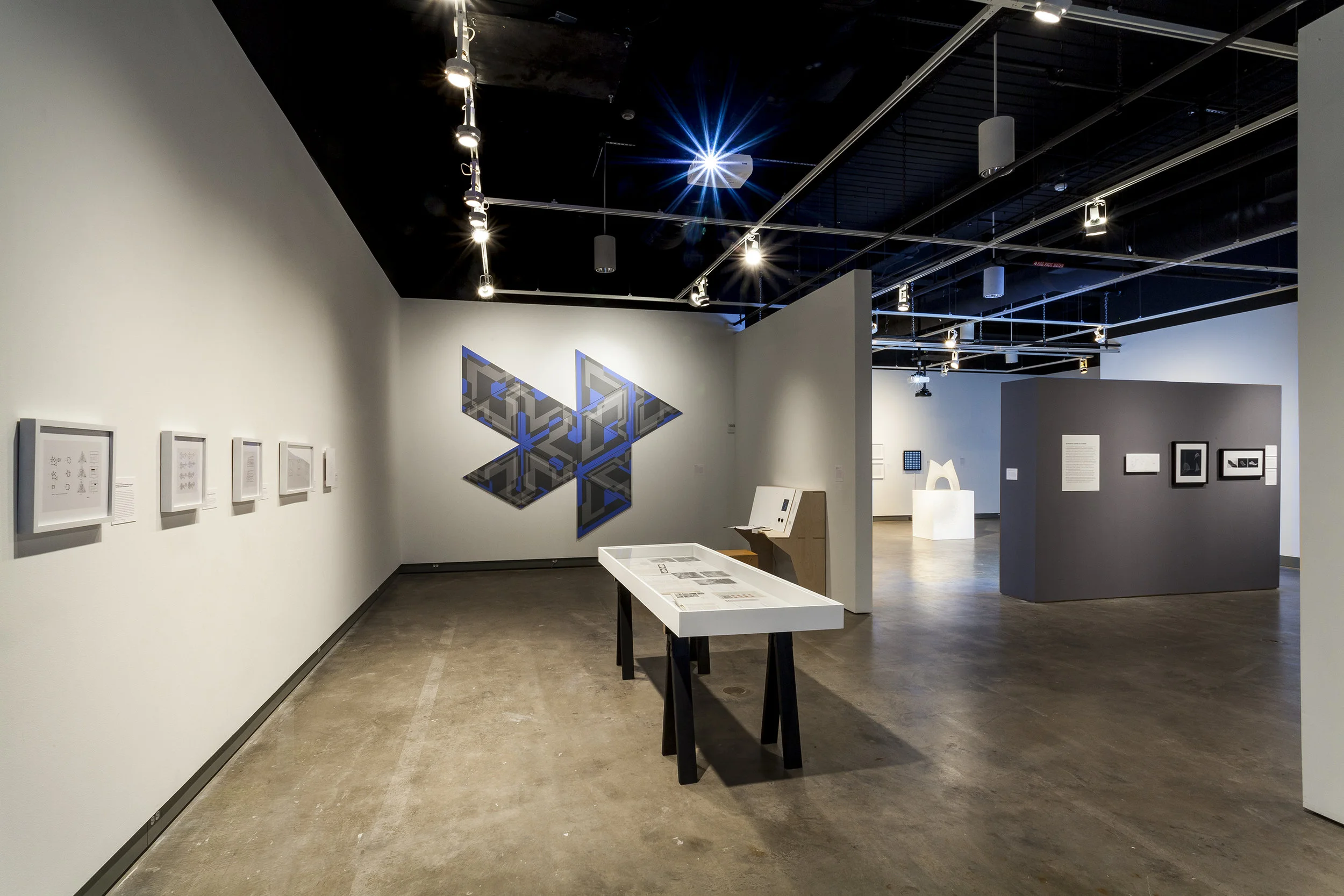 "Designing the Computational Image, Imagining Computational Design" exhibition at Miller Gallery CMU. Curated by Daniel Cardoso Llach. Photo by Tom Little, 2017.