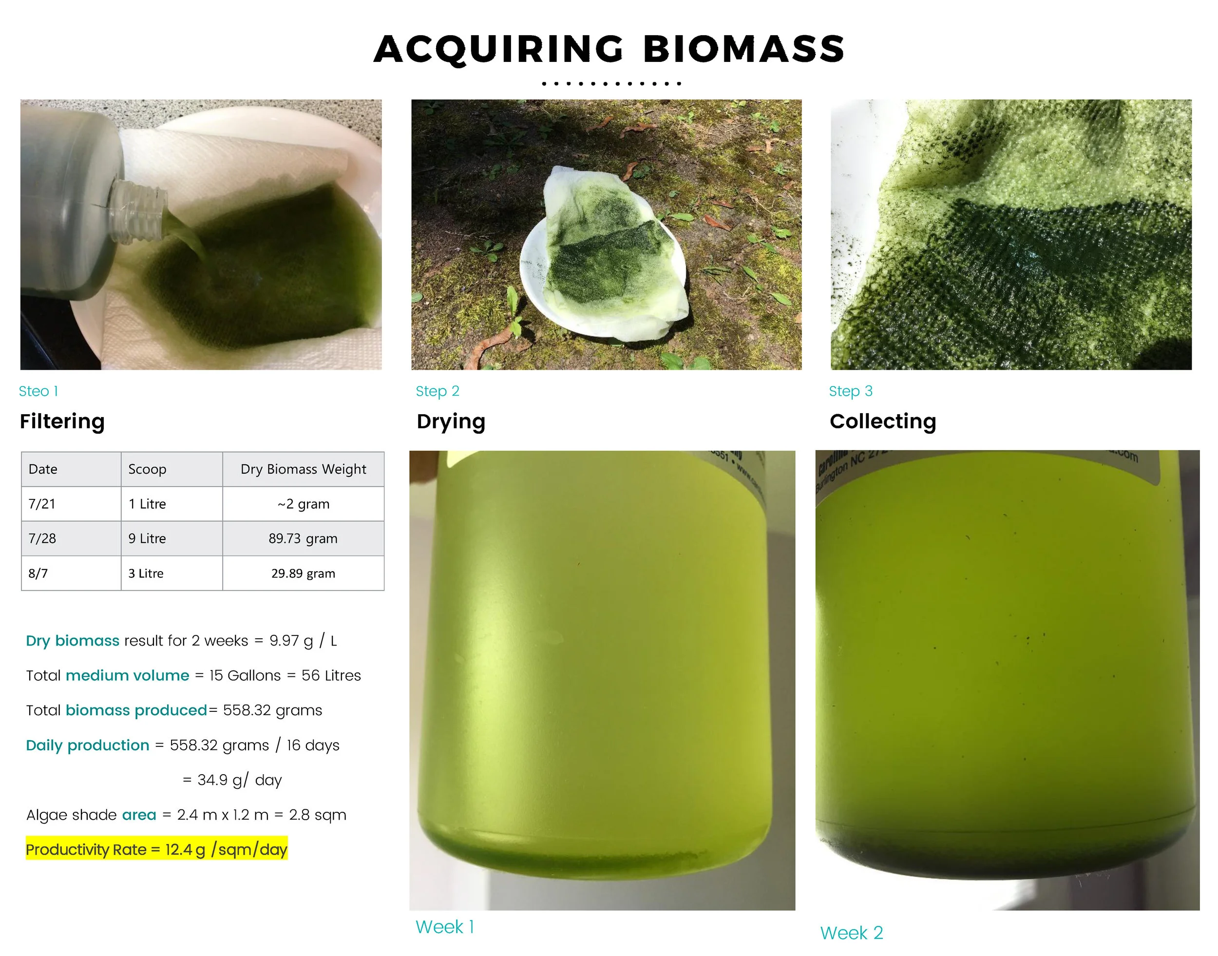 Algae Bioreactor as an Integrated Building Facade (S17) | Fauzan Wassil (MSSD 2017)