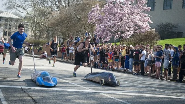buggy.jpg