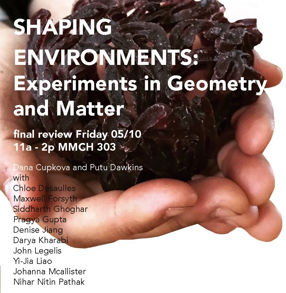 shaping environments posters_Page_3.jpg