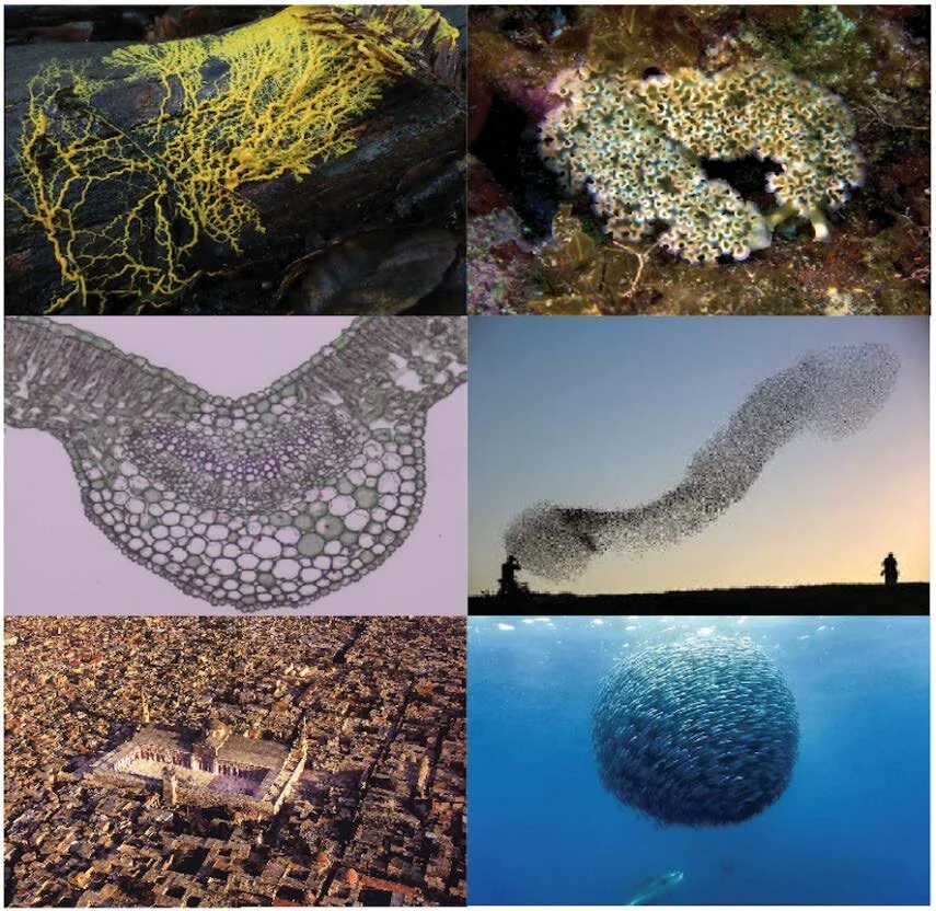62-706: Generative Systems for Design