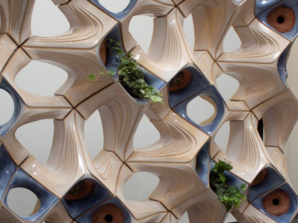 48-410 / 48-510 / 48-660: Thick Skin - Emergent Ecologies of the Ornamental Building Envelope