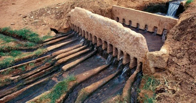 48-314C/48-614C: Thomas Faculty Elective - Reclaiming Hydroculture