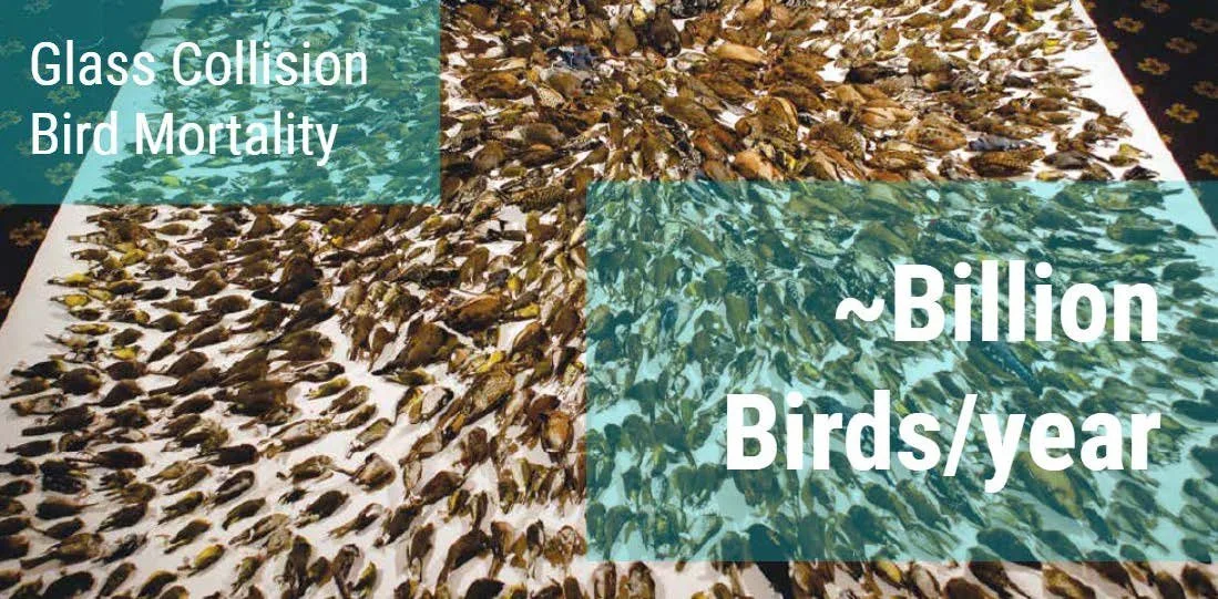 48-205: Second Year Options Studio - Interface Architecture : Architecture Interface