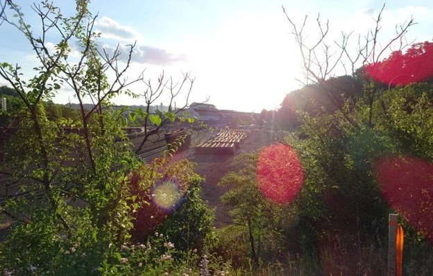 48-699: Design Ethics - Environmental Racism, Injustice, & Unfreedom: Lessons for Architects and Designers