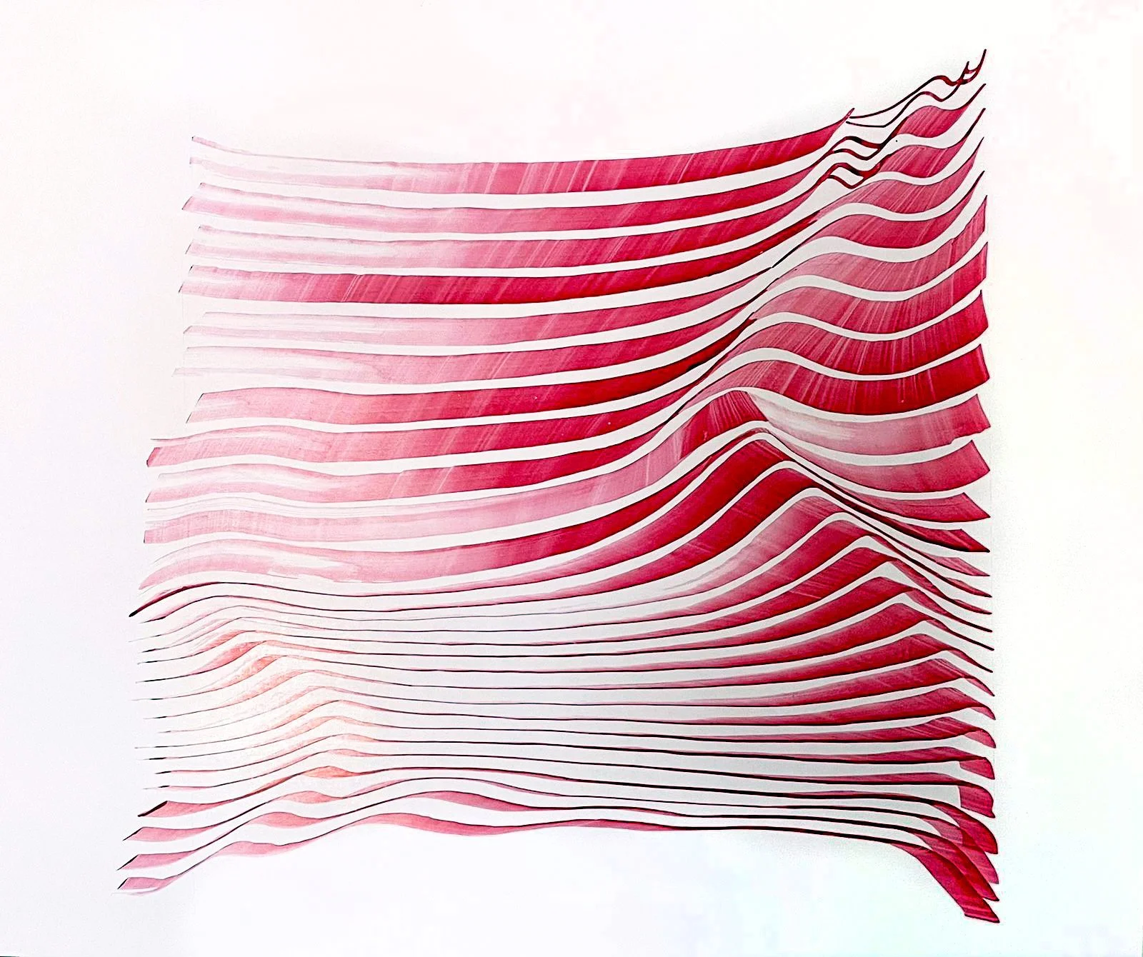 62-525/62-725: Urban Nature, Architecture and the Modern South Asian City