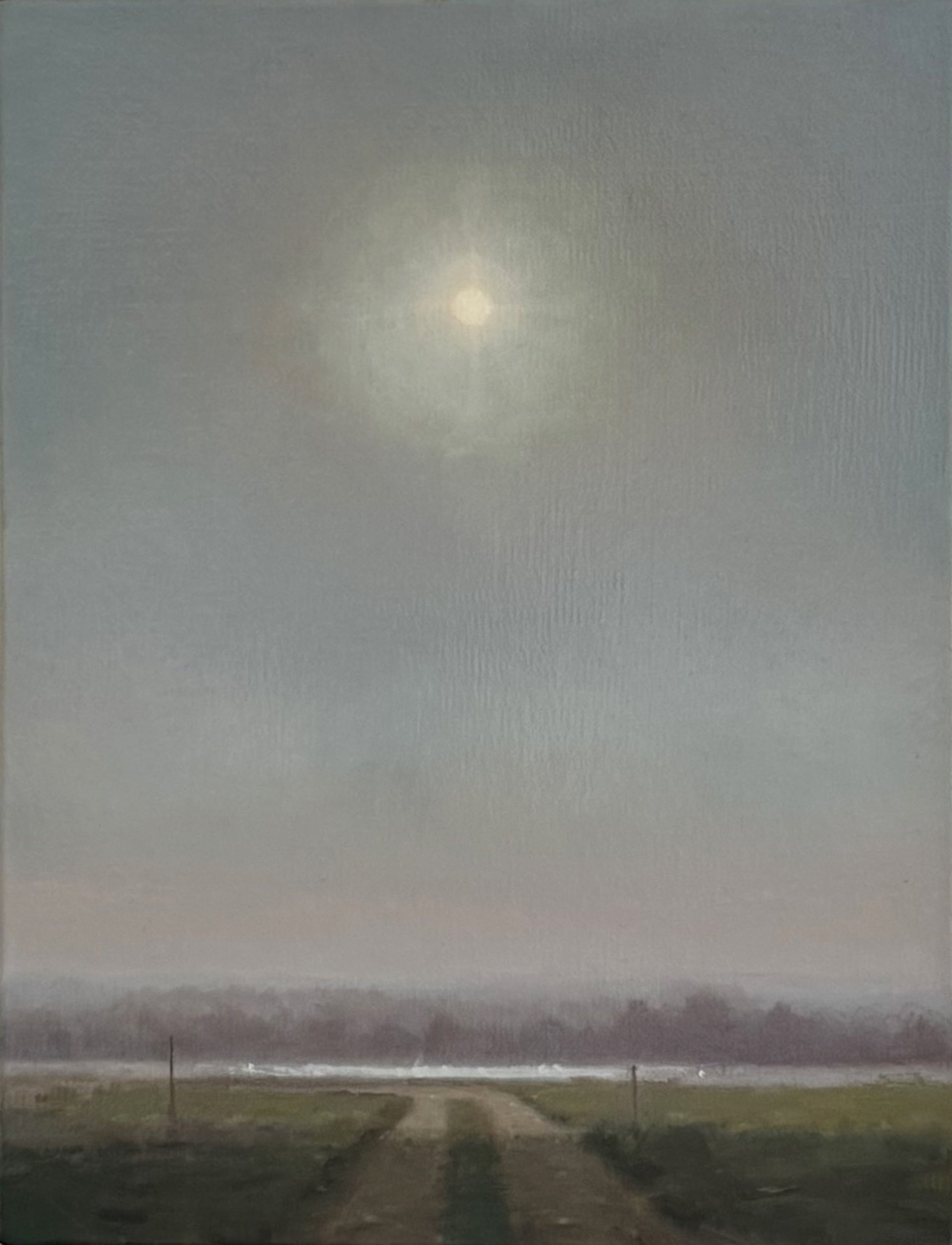 Winter sun
