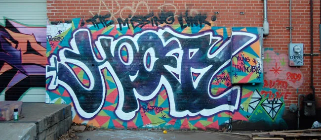DSC_0204.jpg