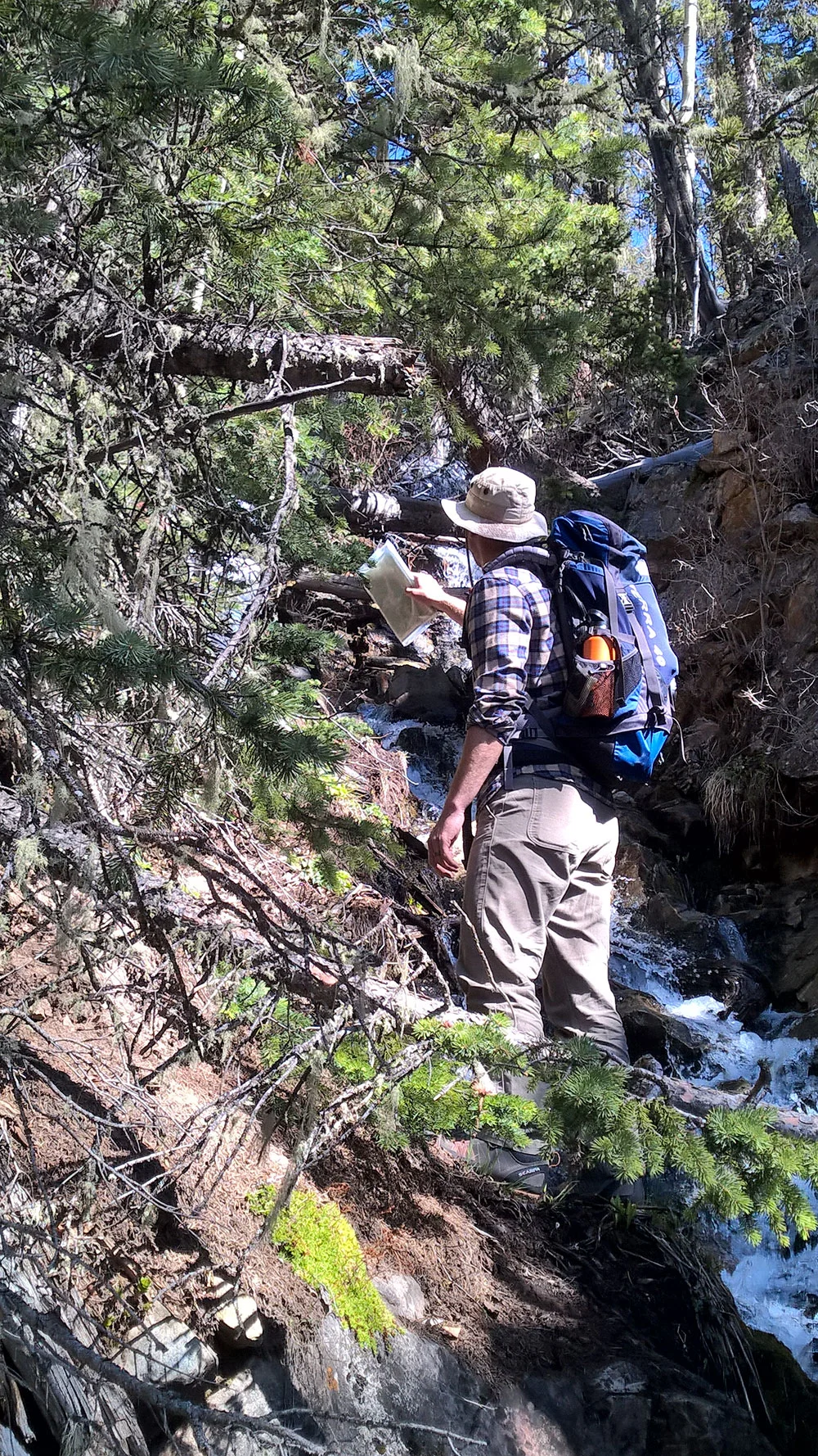 This photo pretty much sums up our hike on Little Castillo. It was steep, thick, uneasy terrain, surrounded with downed limbs. We hiked along a beautiful snowmelt creek that was our constant source of water. Billy is pictured here scouting out a passable approach.