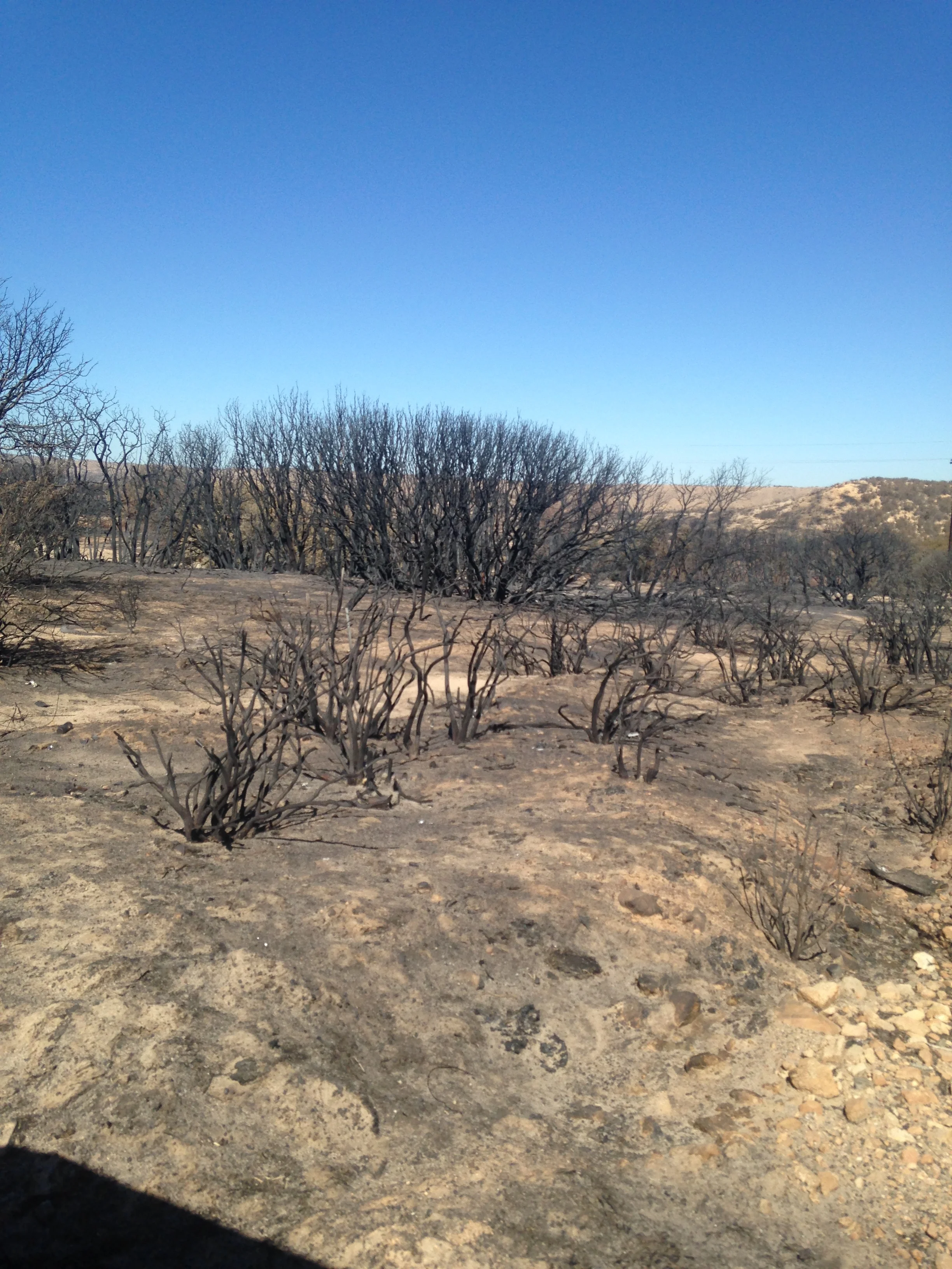 If you haven't heard, there was 2 enormous wildfires that got out of control in Southern California. Unfortunately, both happened about 20 minutes away from my mom's place. We had to drive through several miles of the burnt remains in order to get to the mine. Definitely scary to see what a raging fire can cause. 