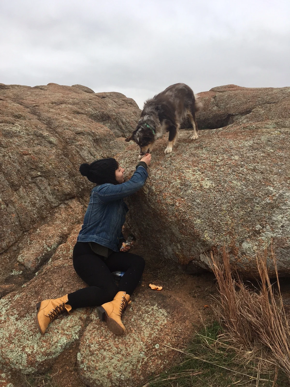We hiked a small mountain nearby, and Paige started feeding some random person's dog.