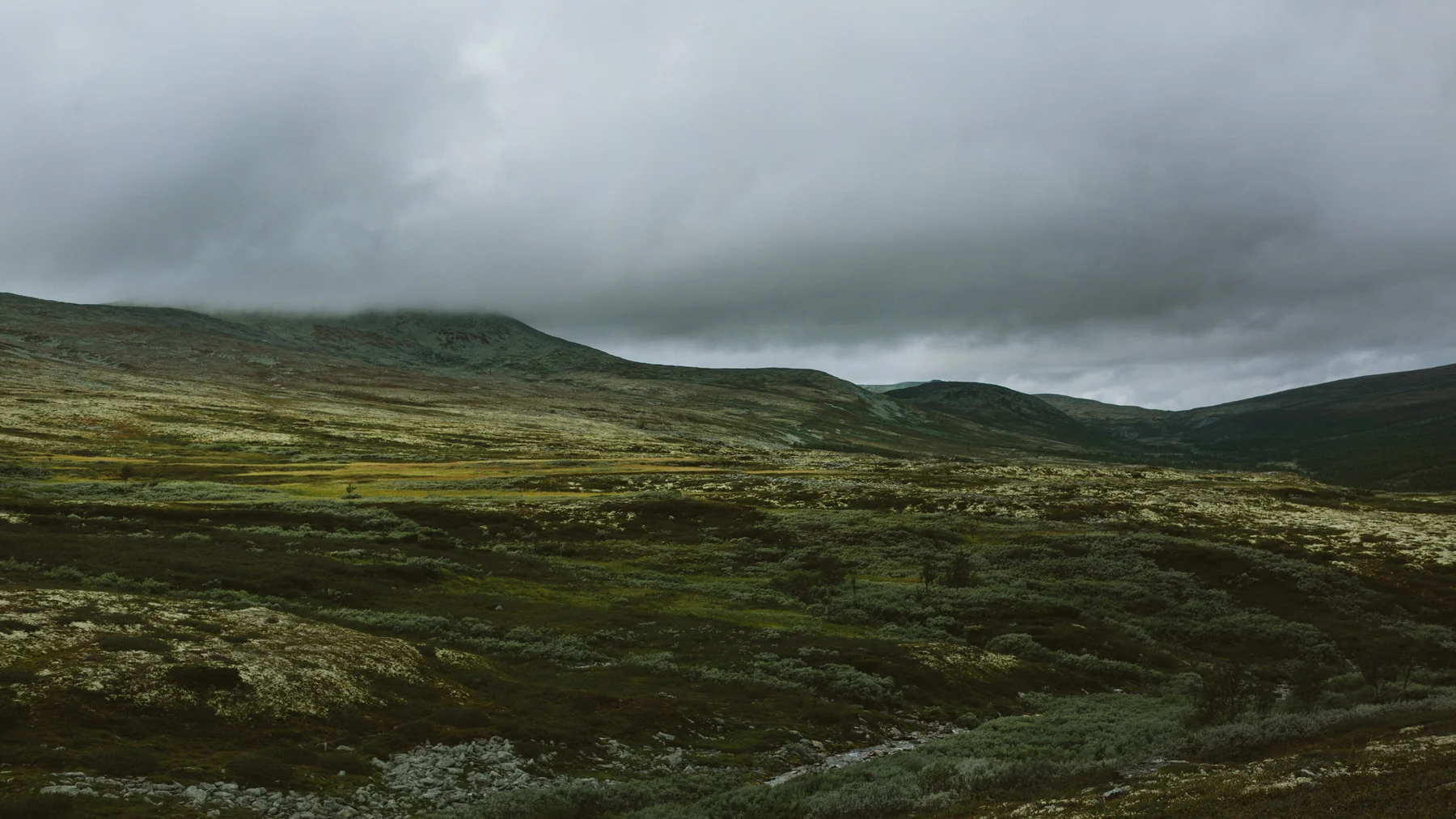 Rondane Nationalpark, Norway