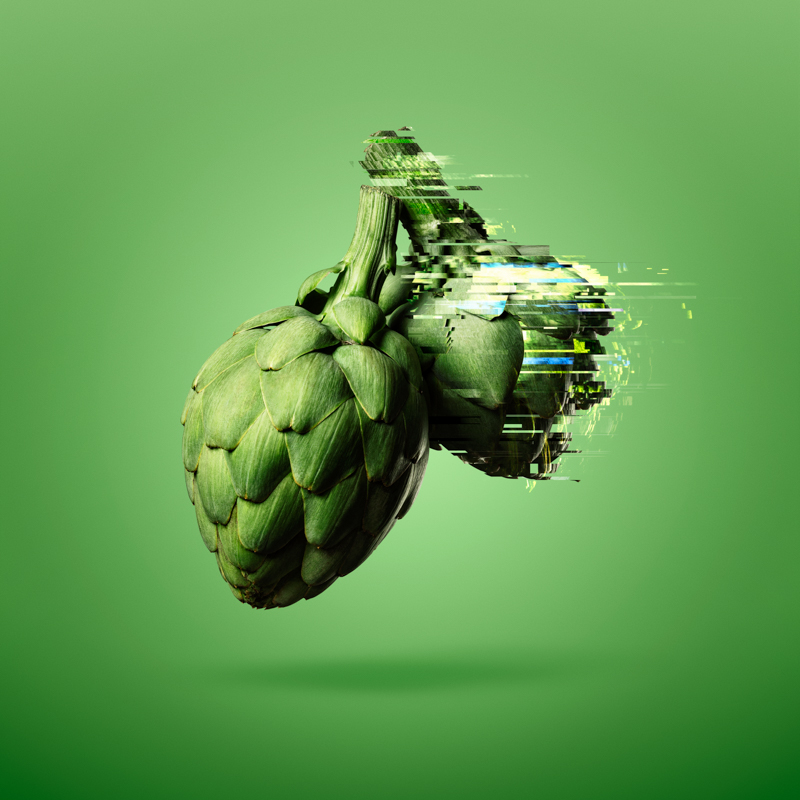 032816_Artichoke-015-Edit-iarbp.jpg