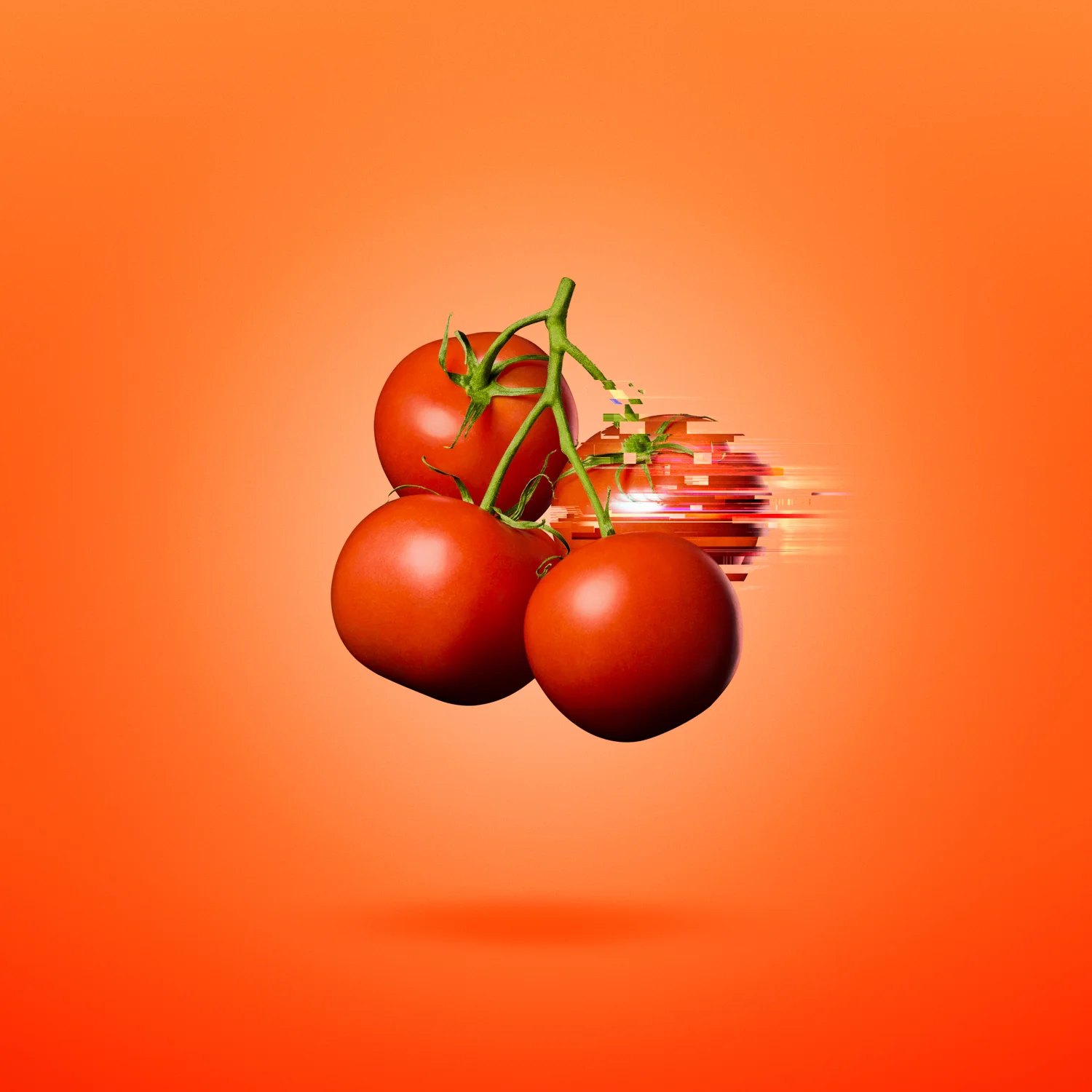032816_Tomatoes-024-Edit-iarcover.jpg