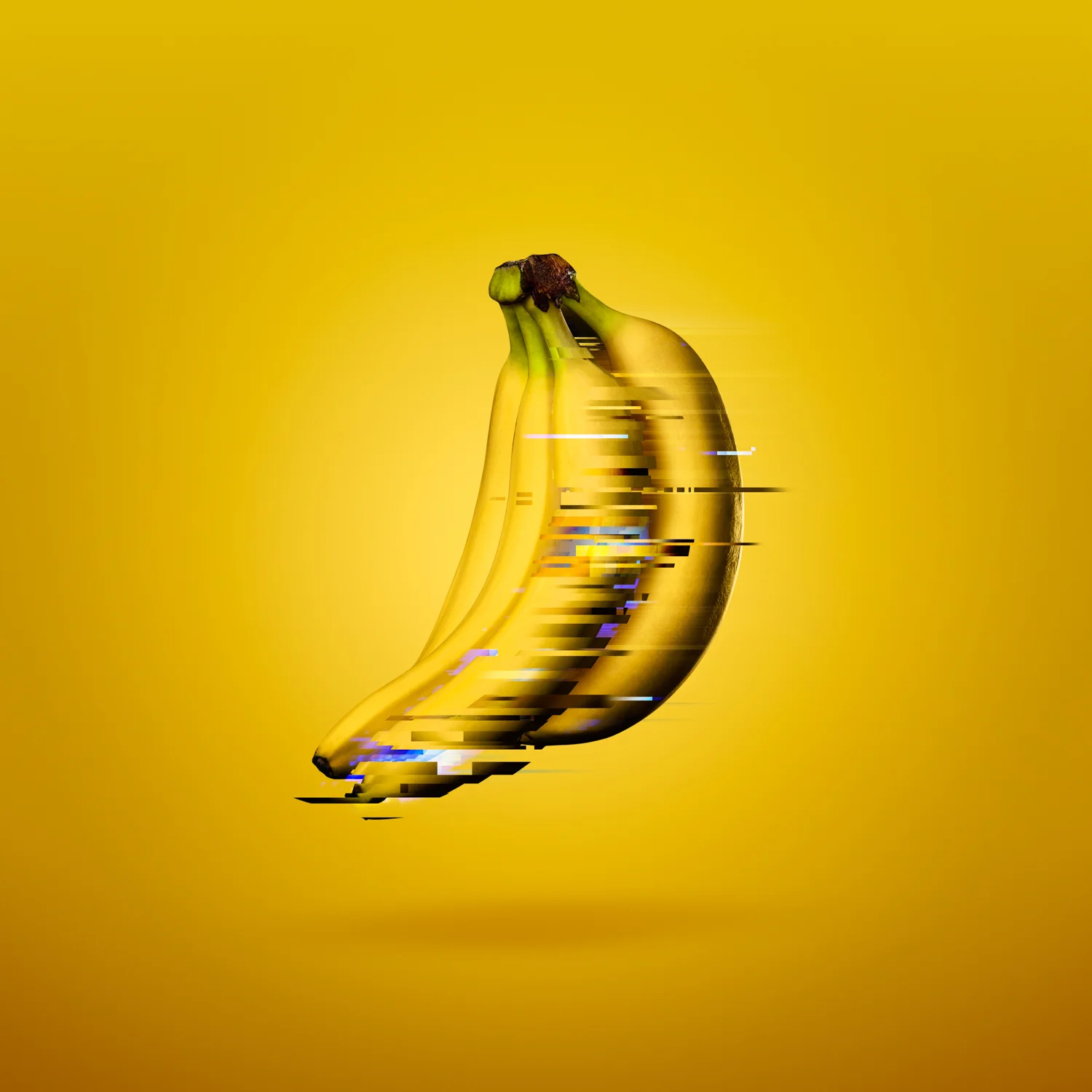 031016_bananaTest-030-comp-iarcover.jpg