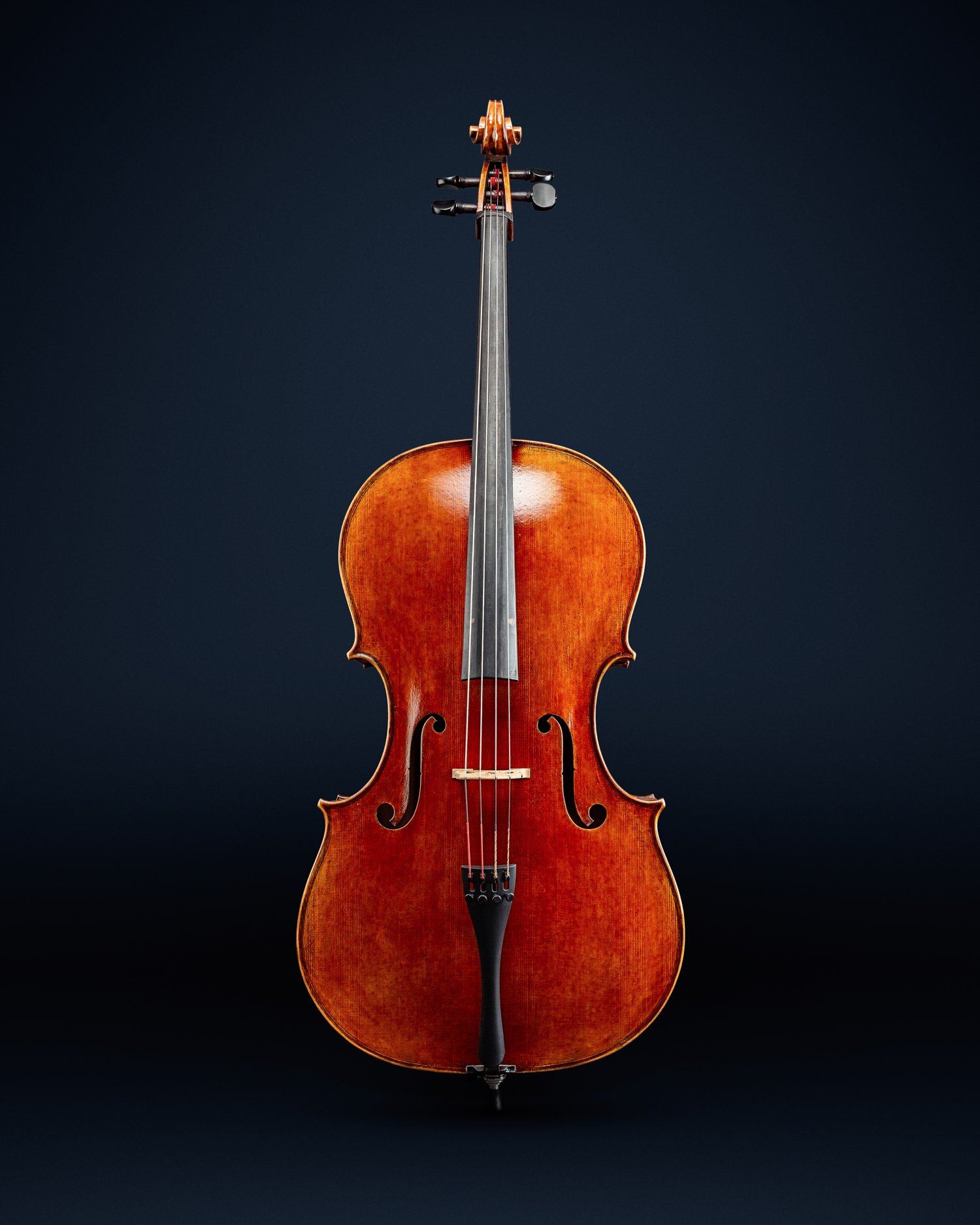 Grand Rapids Violin