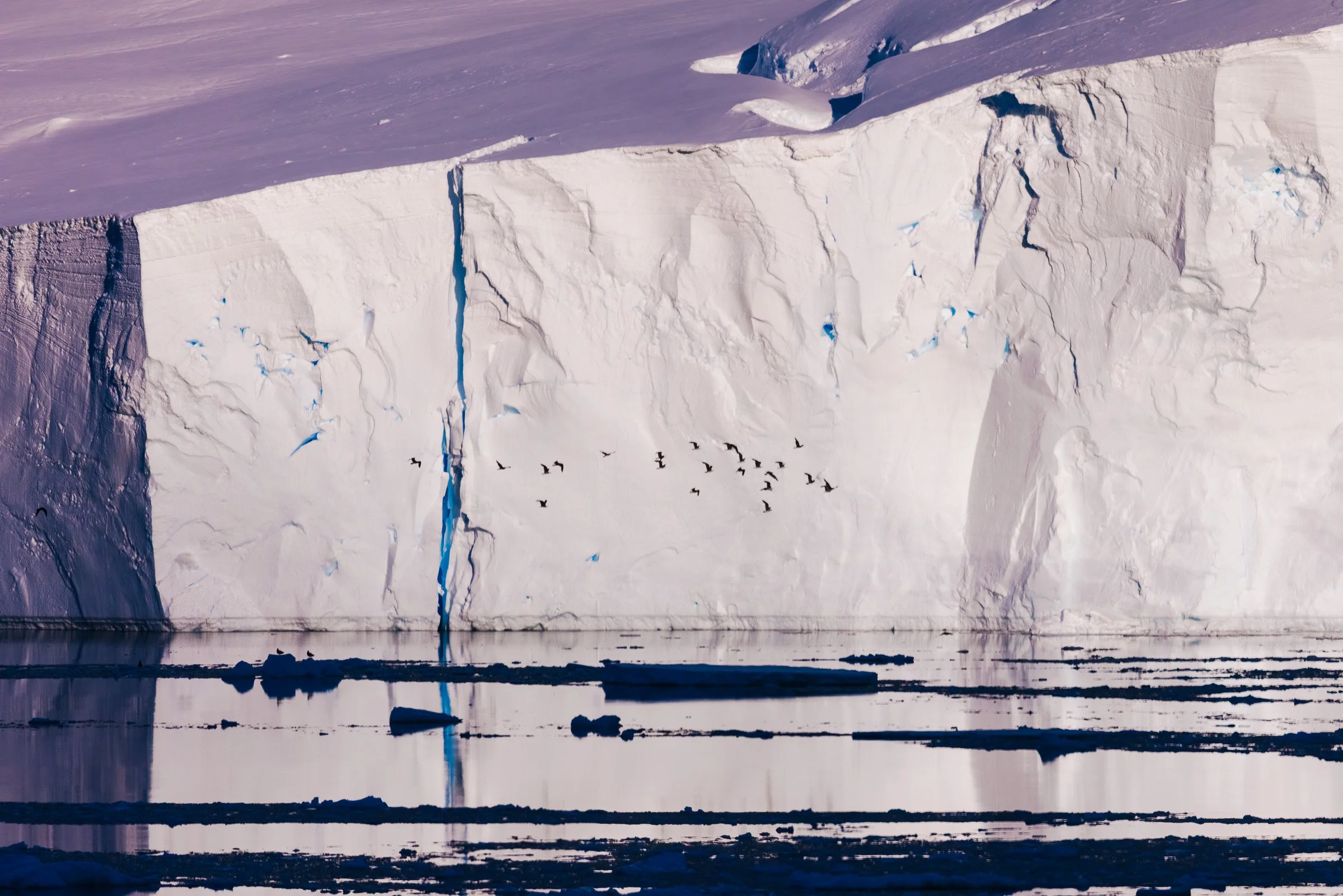 The Antarctic-71.jpg