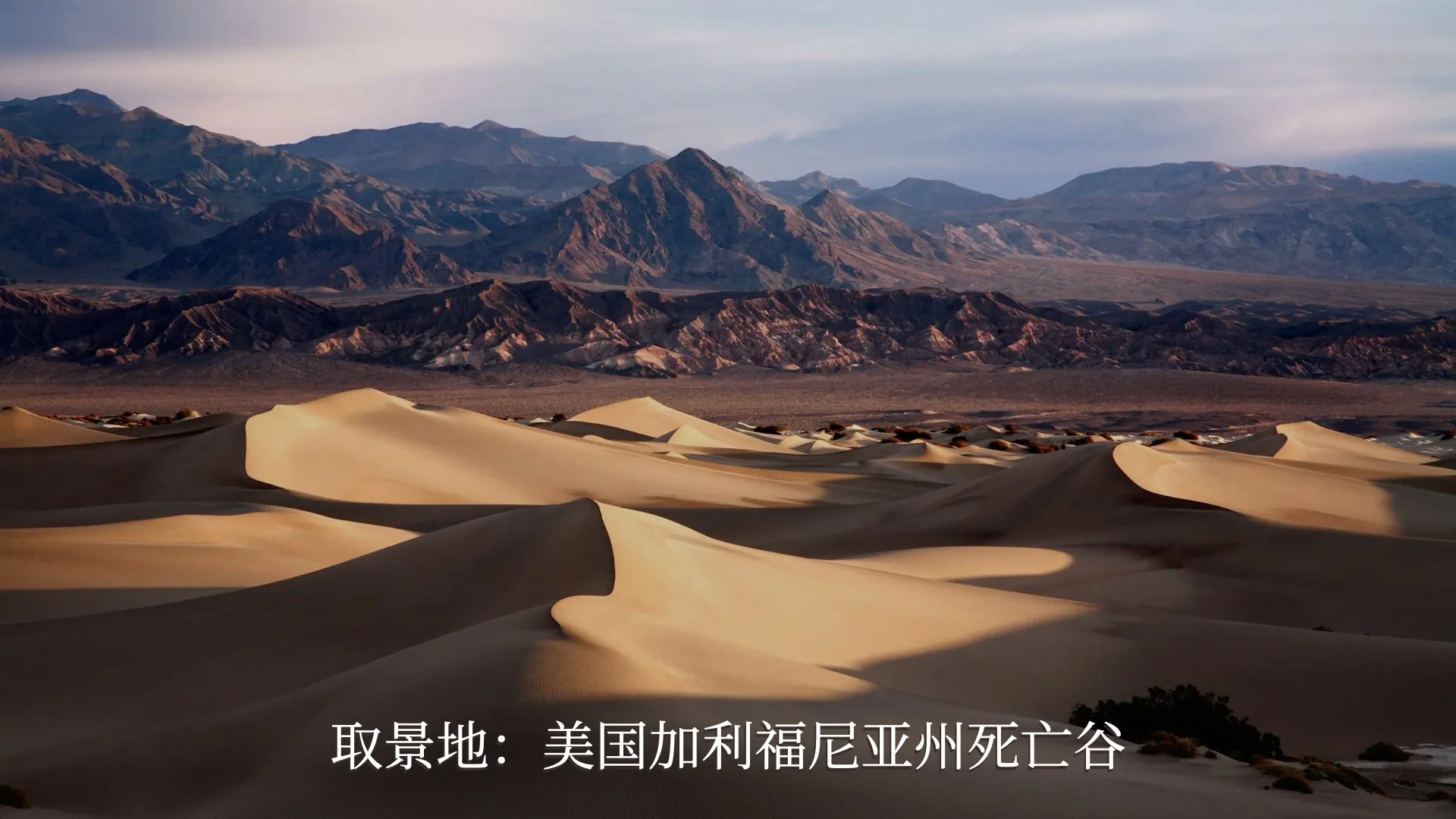 The Watchtower Pitch Deck_V2_CN.019.jpeg