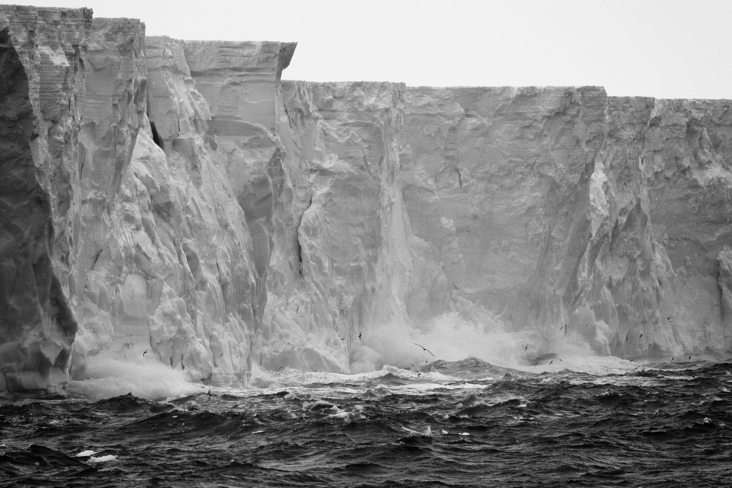 The Antarctic-74.jpg