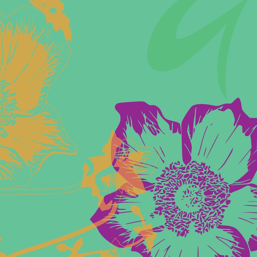 Craig Myspace Layout2.jpg