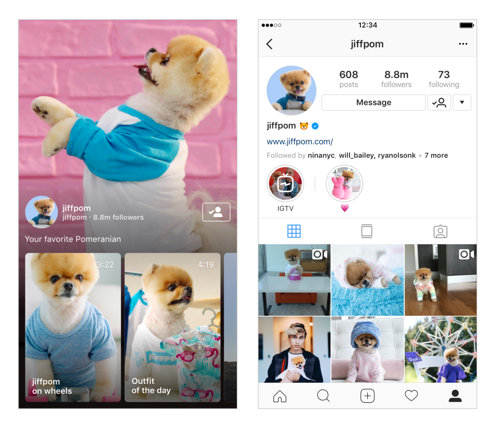 Instagram Rival Youtube.png