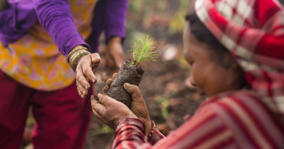Buy tea, shop consciously and help save the planet this Black Friday
