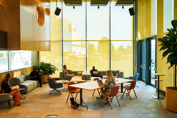 Meet Mat Hunter and Paul Rostas, co-founders of Plus X — Just Entrepreneurs