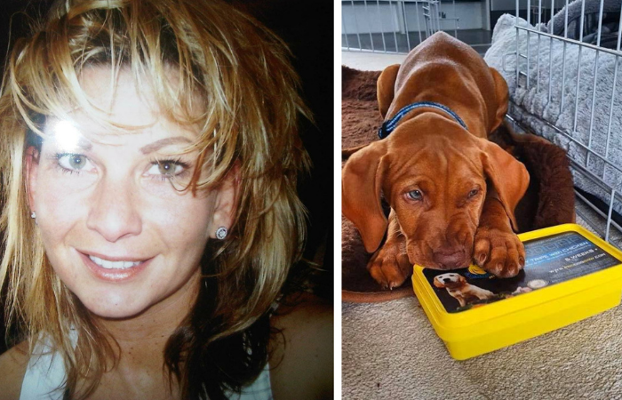 Meet The Founder Of Prodog Raw Just Entrepreneurs