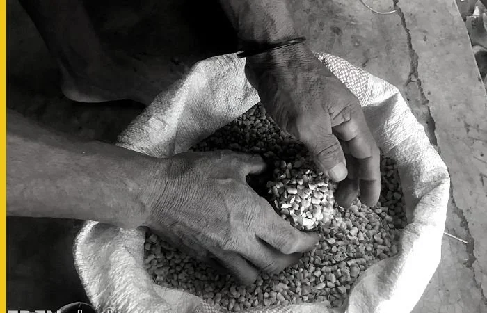 Amba pledges open-ended funds to Madagascar Community Reforestation Programme