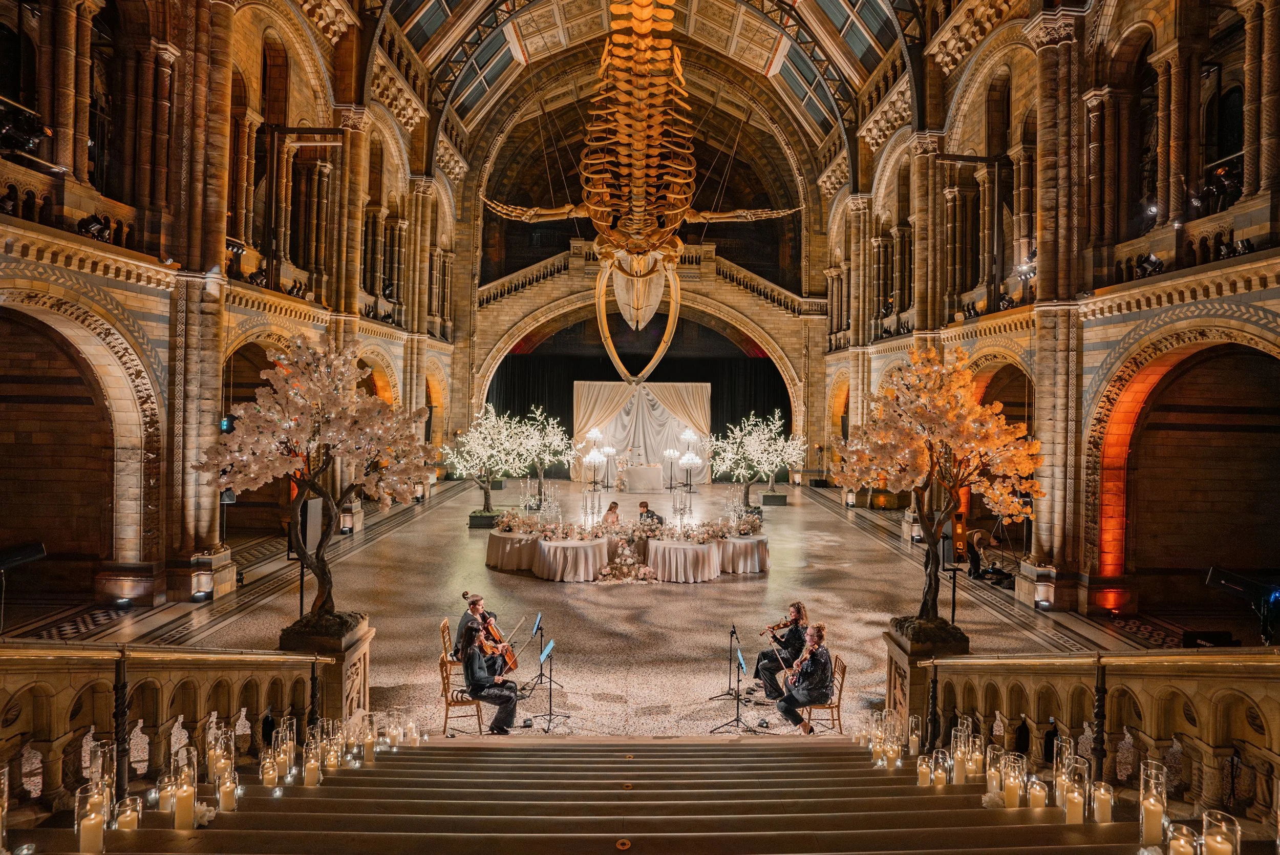 City String Ensemble performing as a private string quartet for an exclusive event within the Hintze Hall at the Natural History Museum in London.