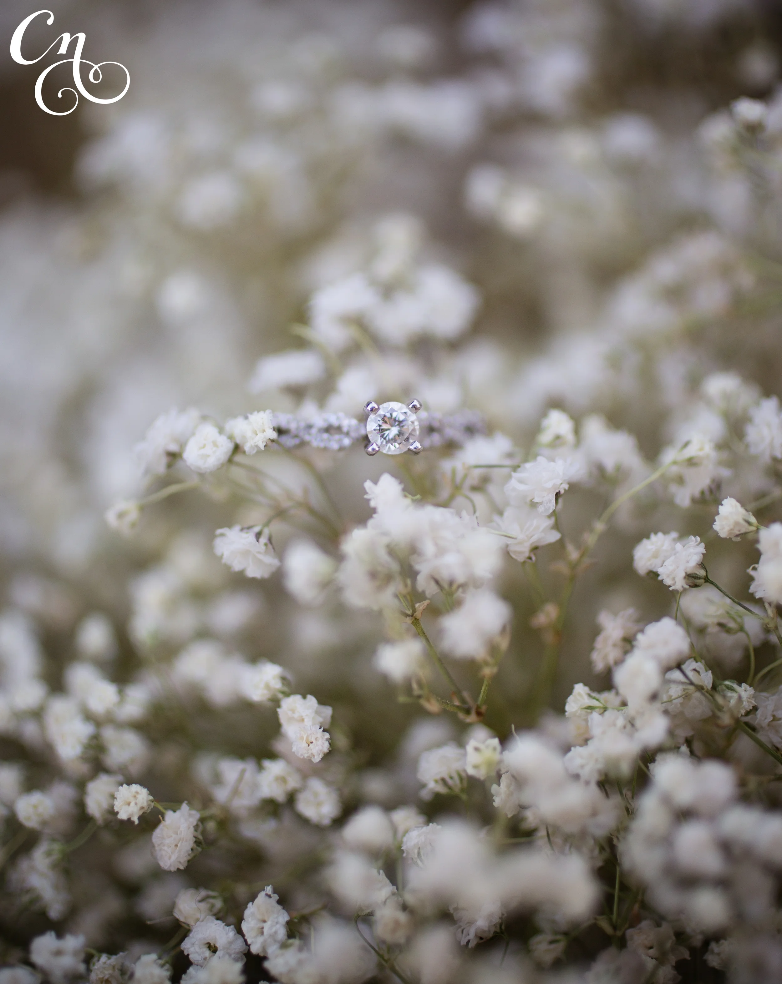 Lisa Engagement ALL_2894_WM.jpg