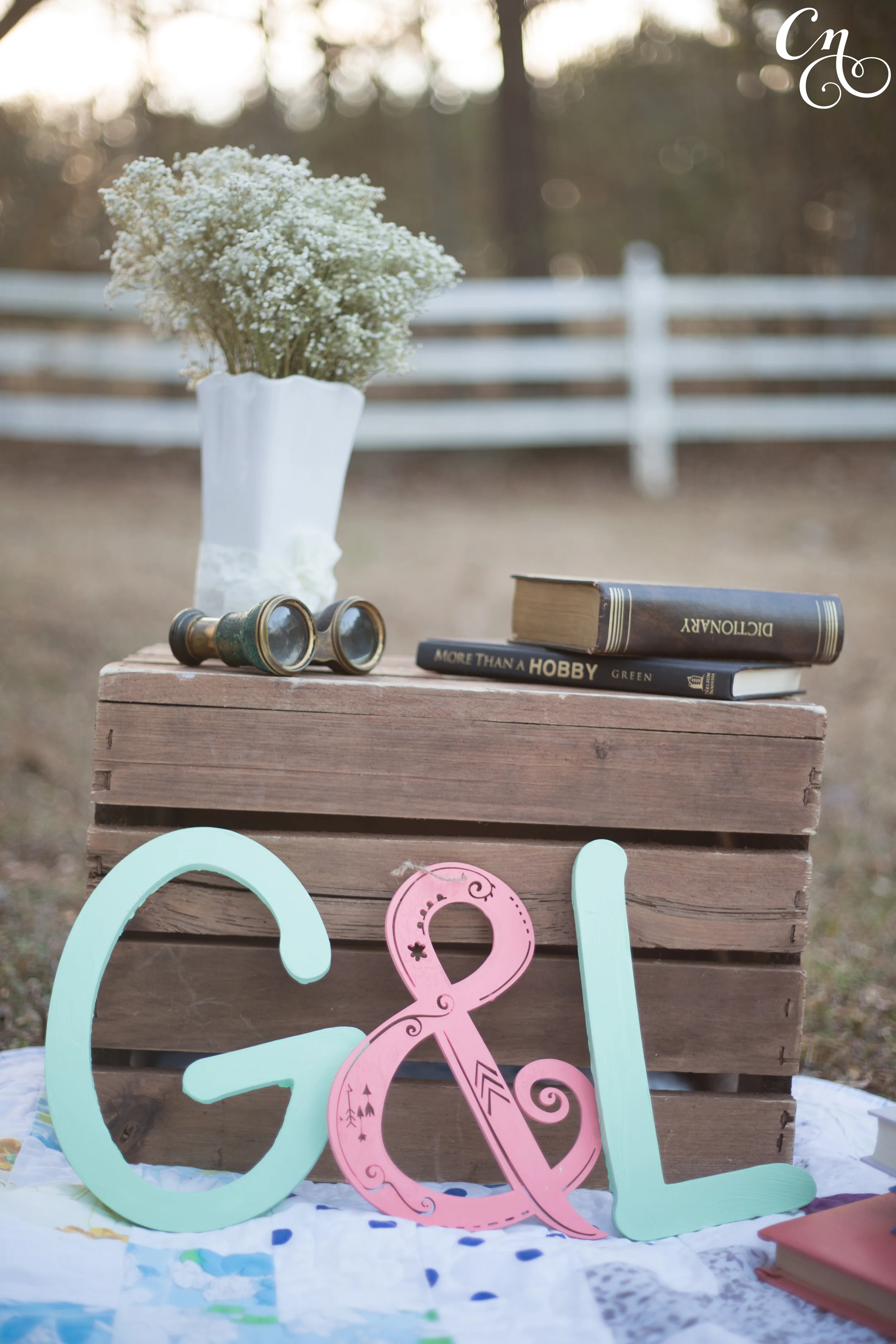 Lisa Engagement ALL_3280_wm.jpg