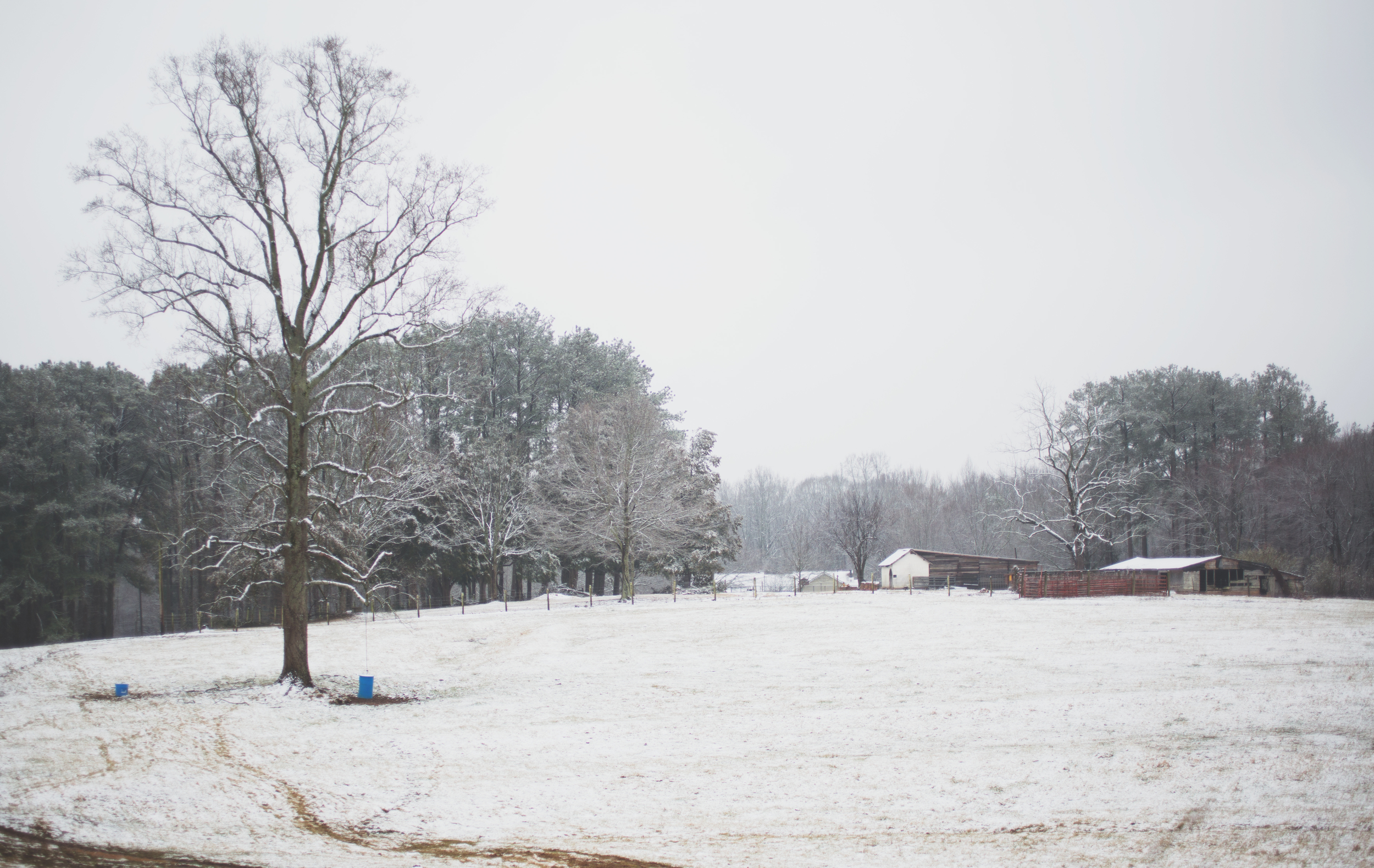 CNP SnowDay2015_3601.jpg