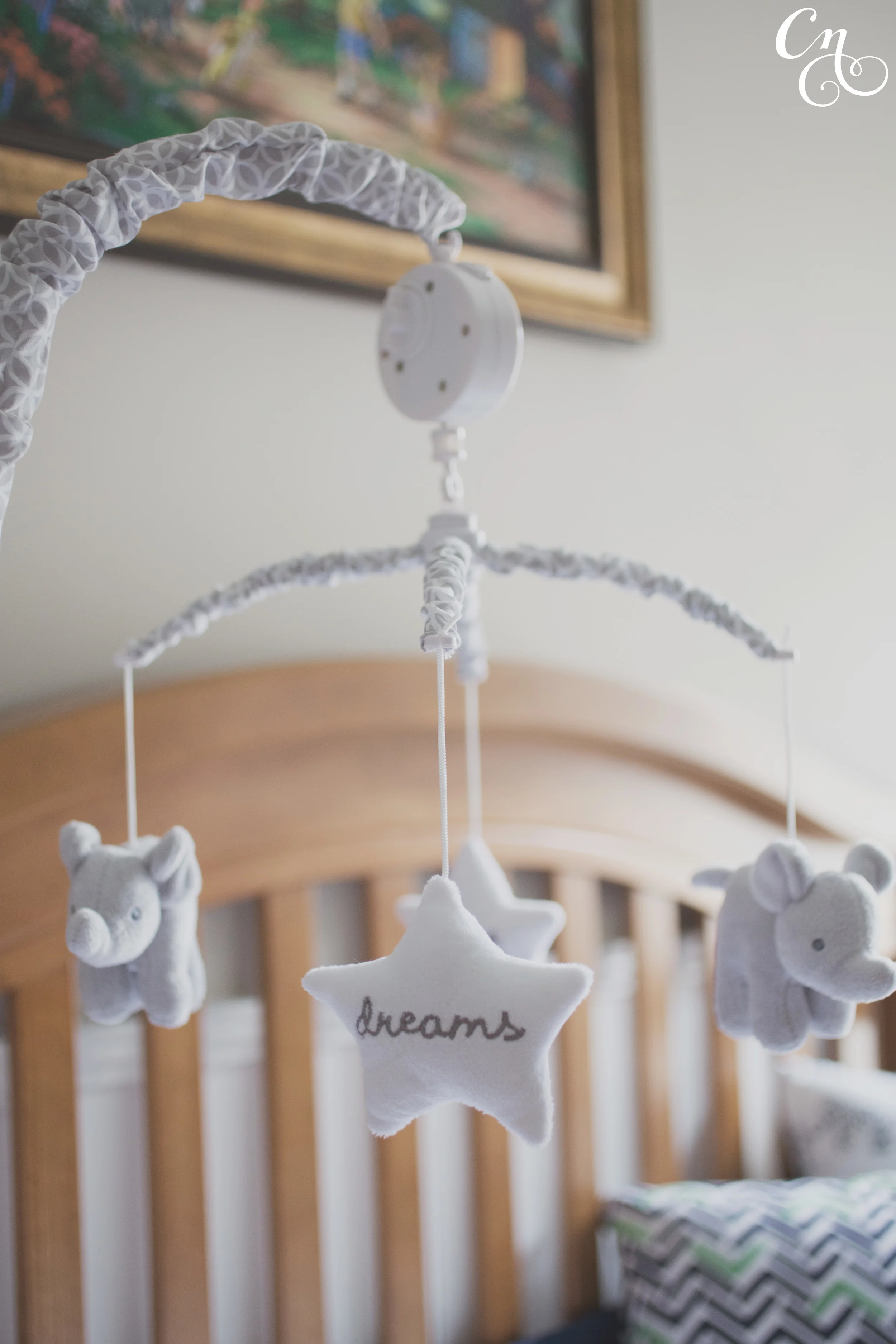 CNPAmandaBaby_9676_WM.jpg