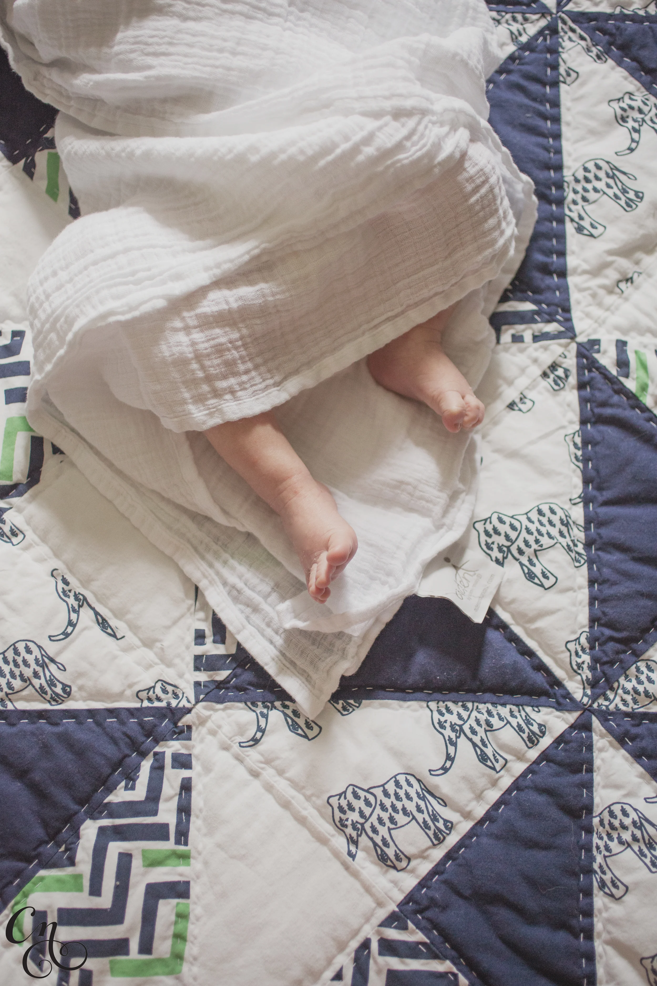 CNPAmandaBaby_9809_wm.jpg