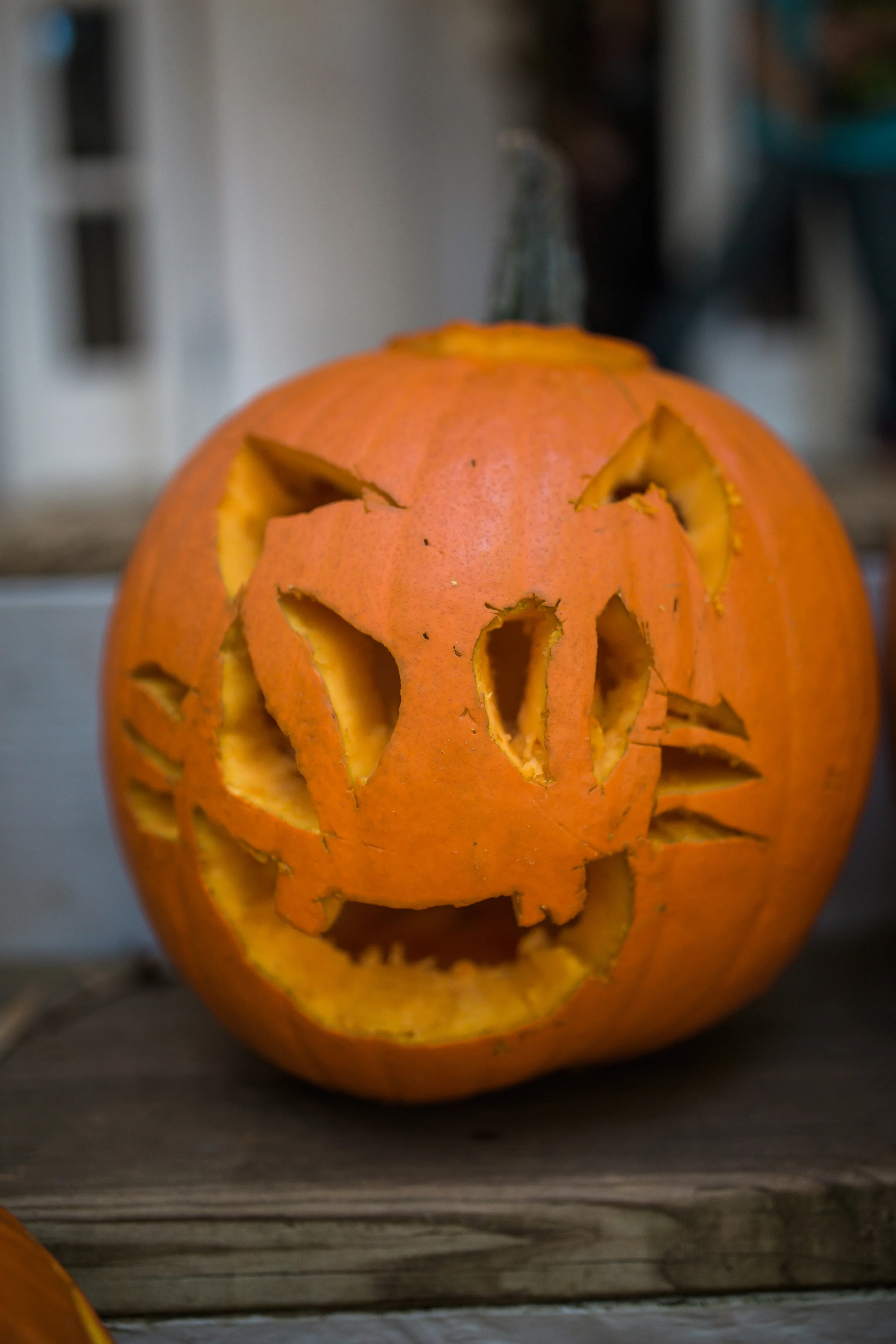 20151017_chrissynoelphotographyHalloween_1595.jpg
