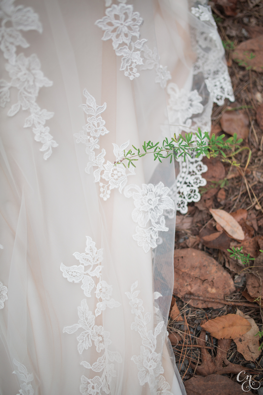 20151024_chrissynoelphotographyBG_4070WM.jpg