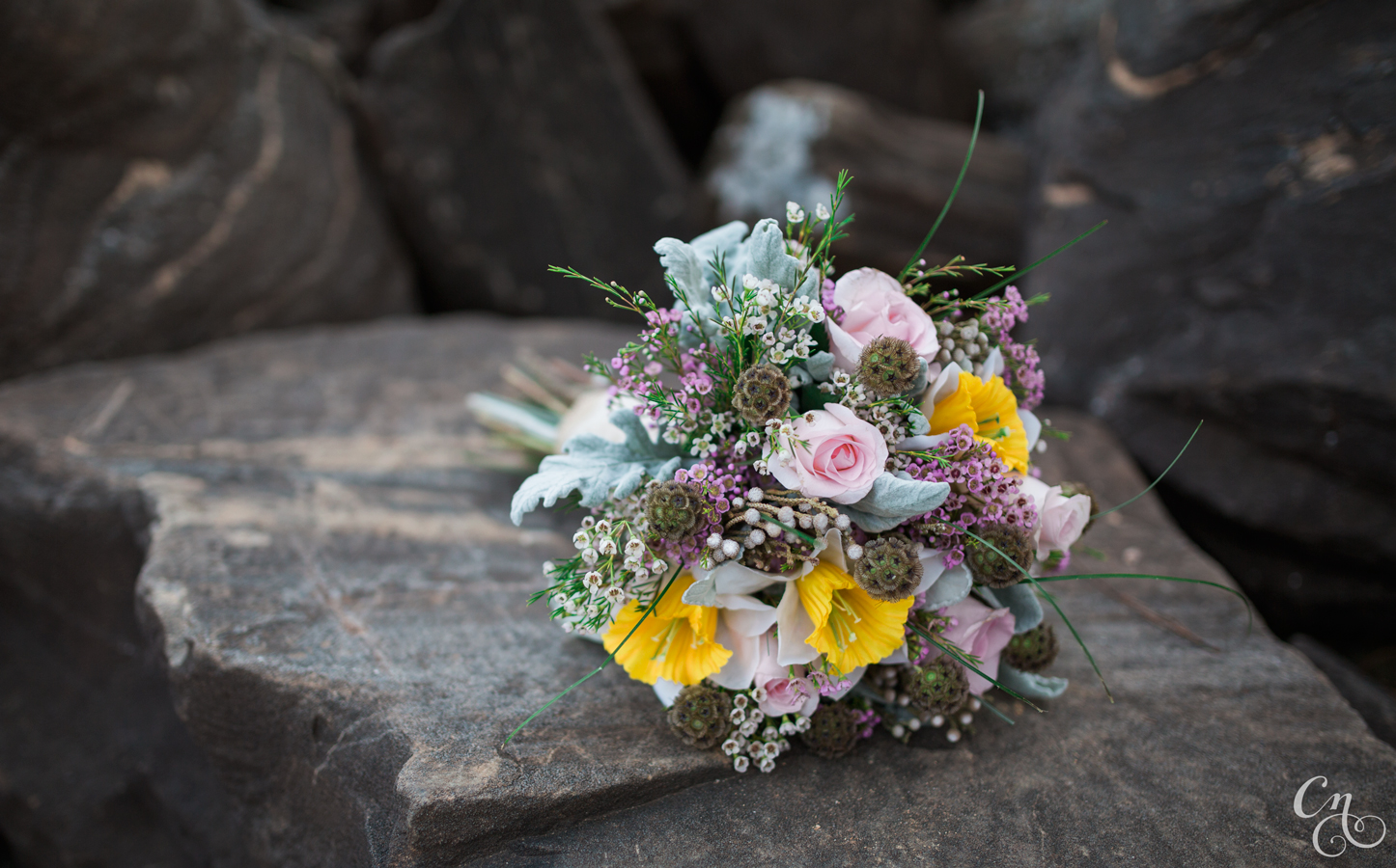20151024_chrissynoelphotographyBG_5158WM.jpg