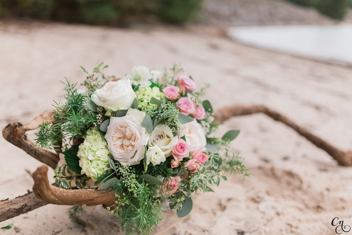 chrissynoelphotographyLAUREN_8238WM.jpg