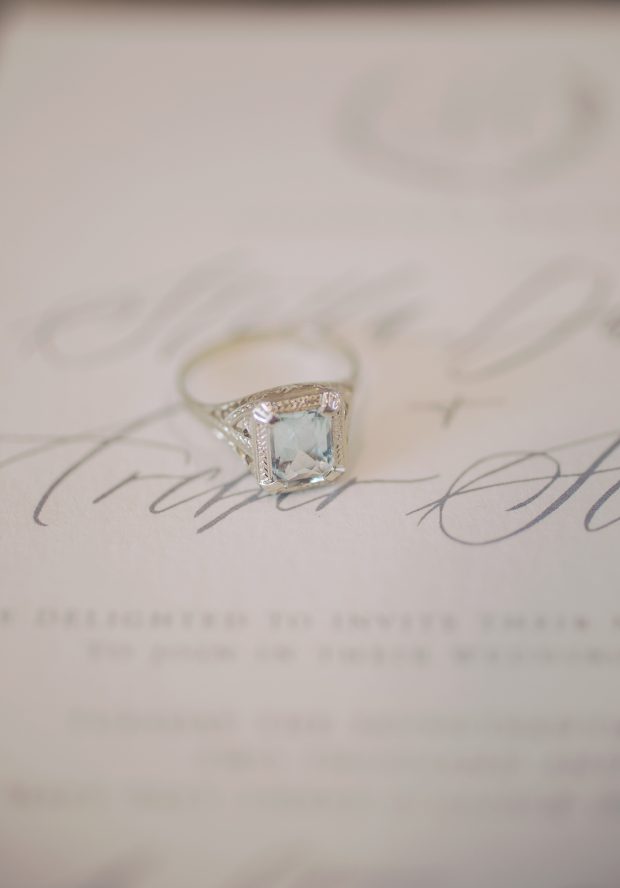 20151117_ChrissynoelphotographyASHTONG_0539.jpg