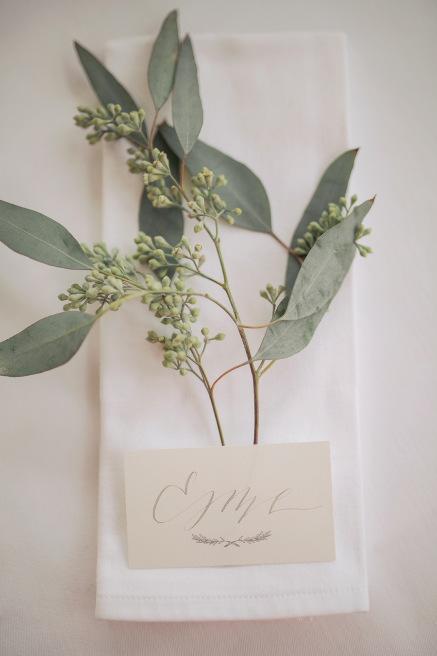 20151117_ChrissynoelphotographyASHTONG_0777.jpg